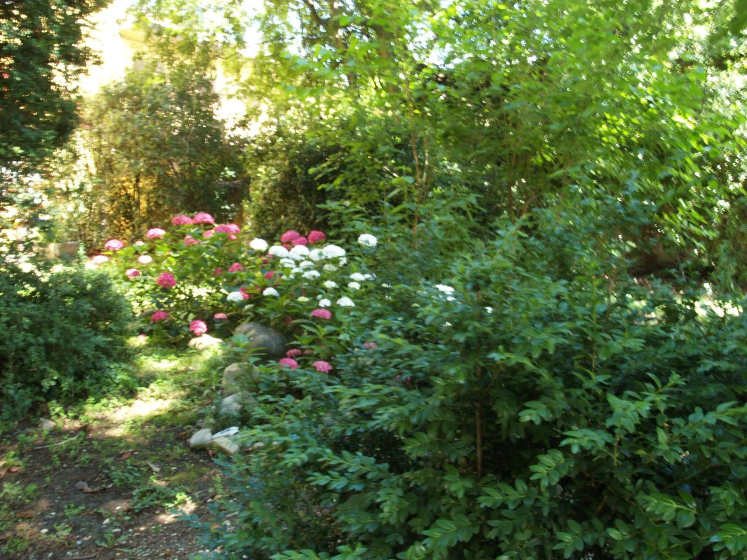 Garden in Villa Ghia Appartamento