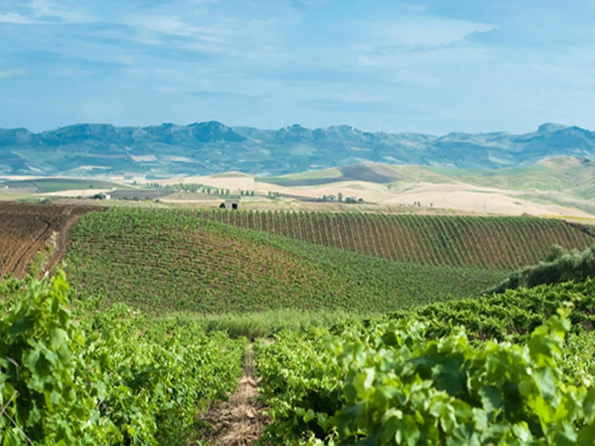 Day in Agriturismo Sirignano Wine Resort