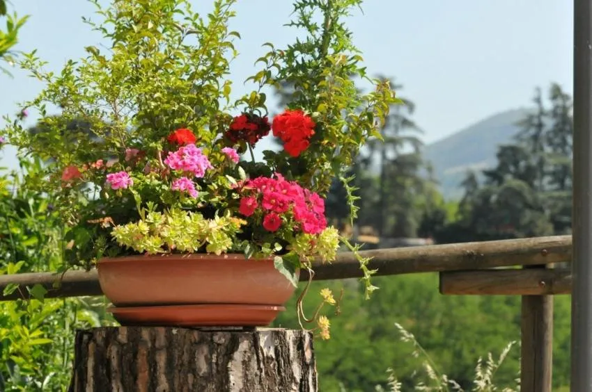 Natural landscape in Olivia B&B and Apartment