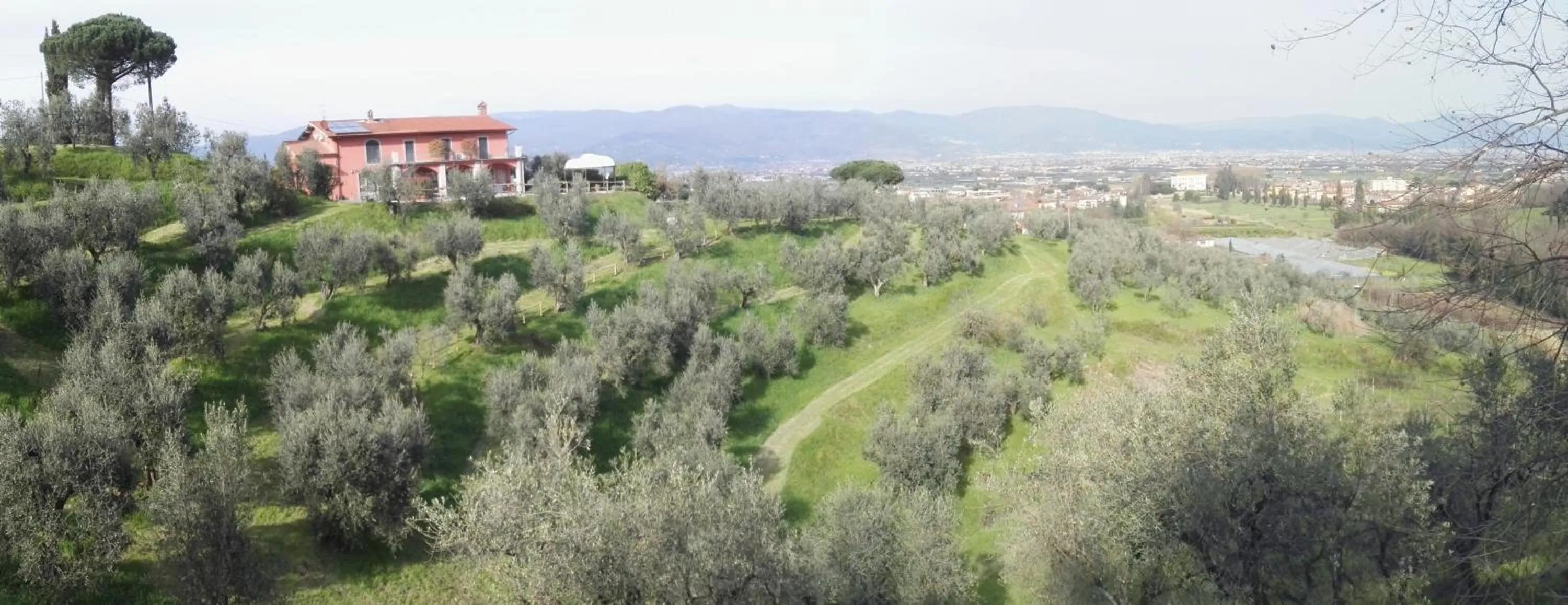 Natural landscape in Olivia B&B and Apartment