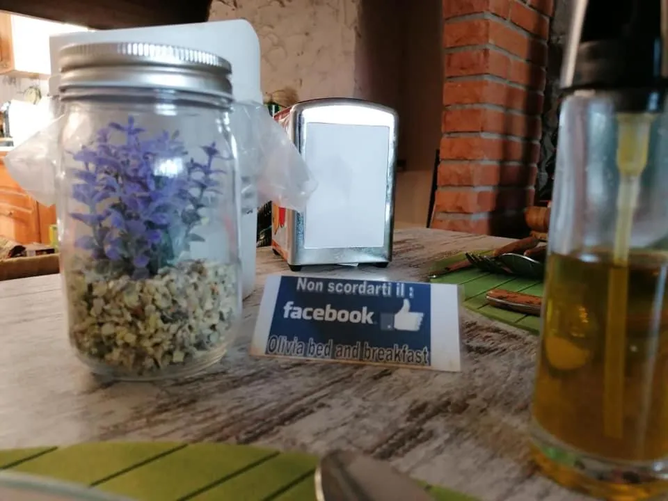 Olivia B&B and Apartment