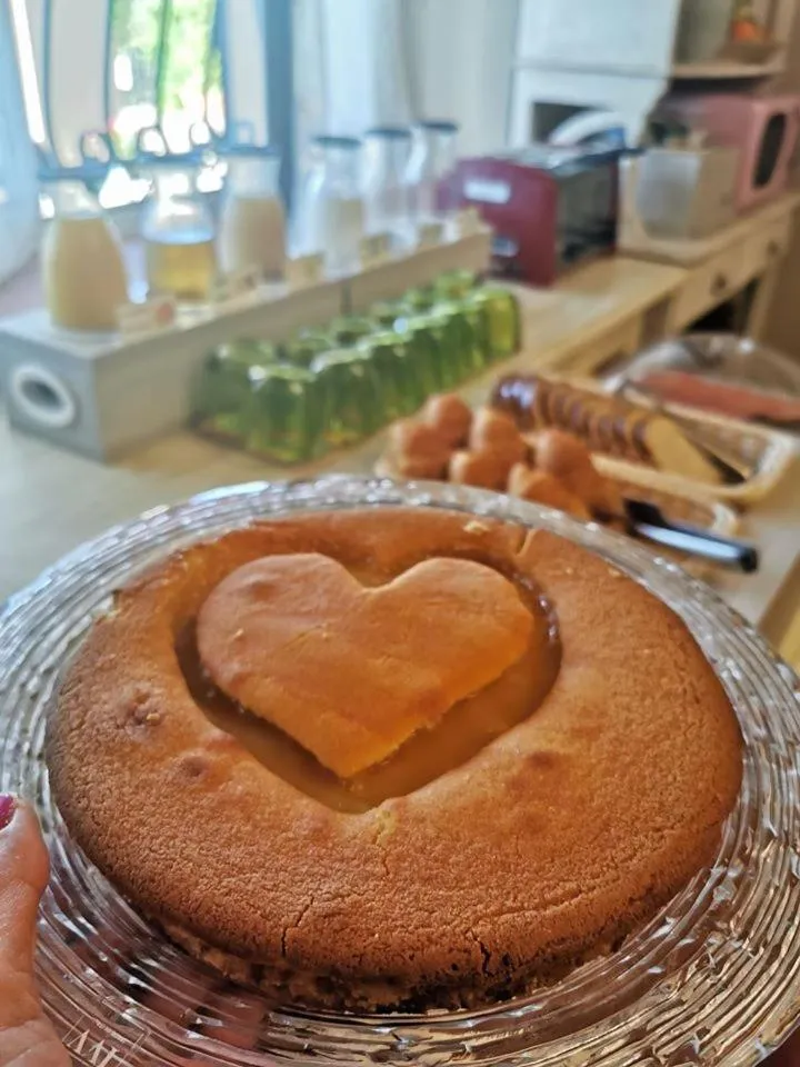 Olivia B&B and Apartment