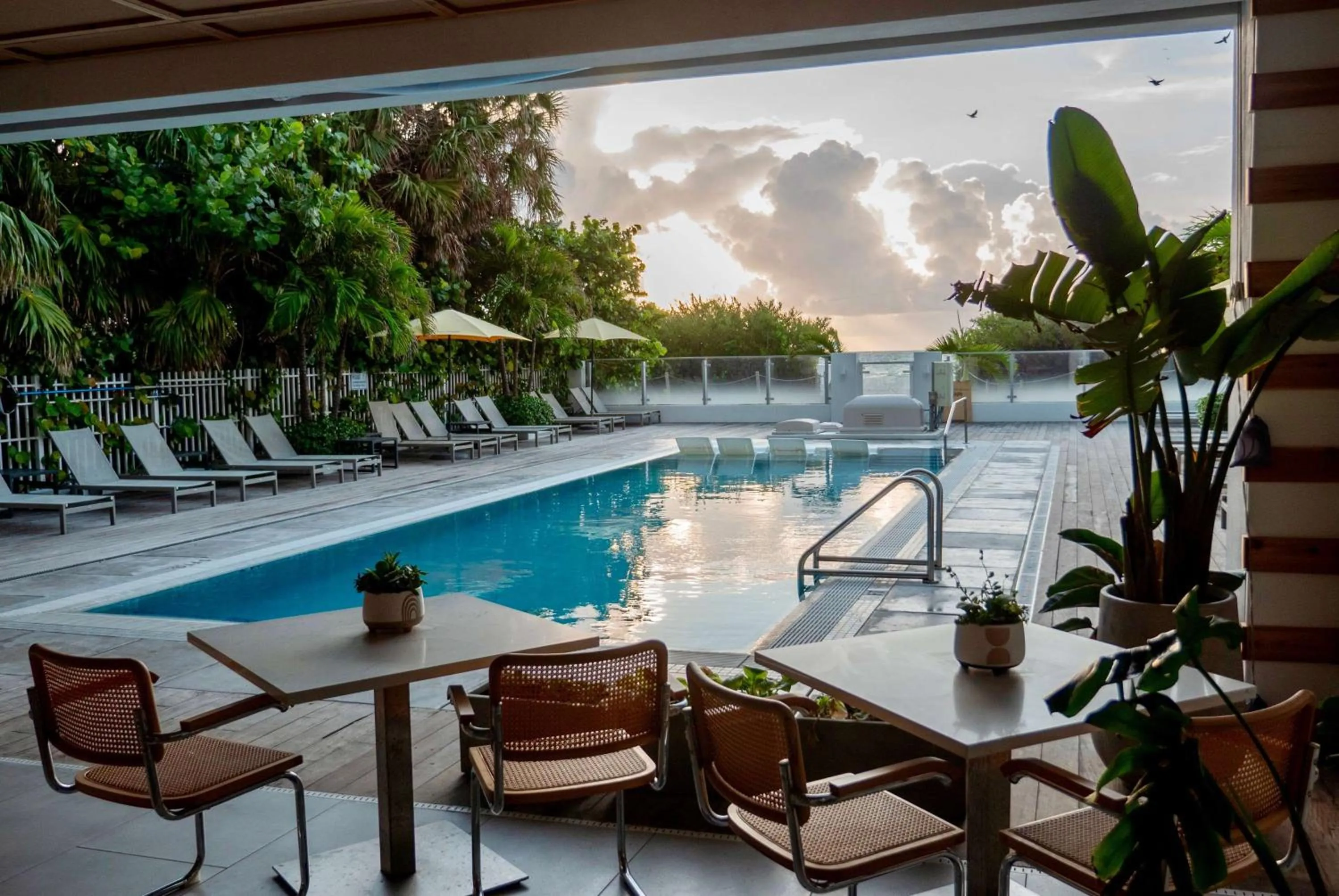 Restaurant/places to eat in MB Hotel, Trademark Collection by Wyndham