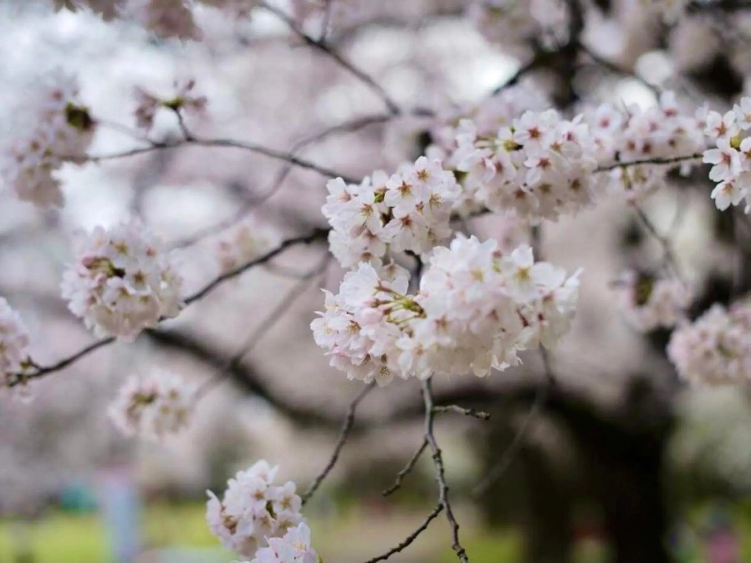 Spring in Vessel Inn Keisei Tsudanuma Ekimae