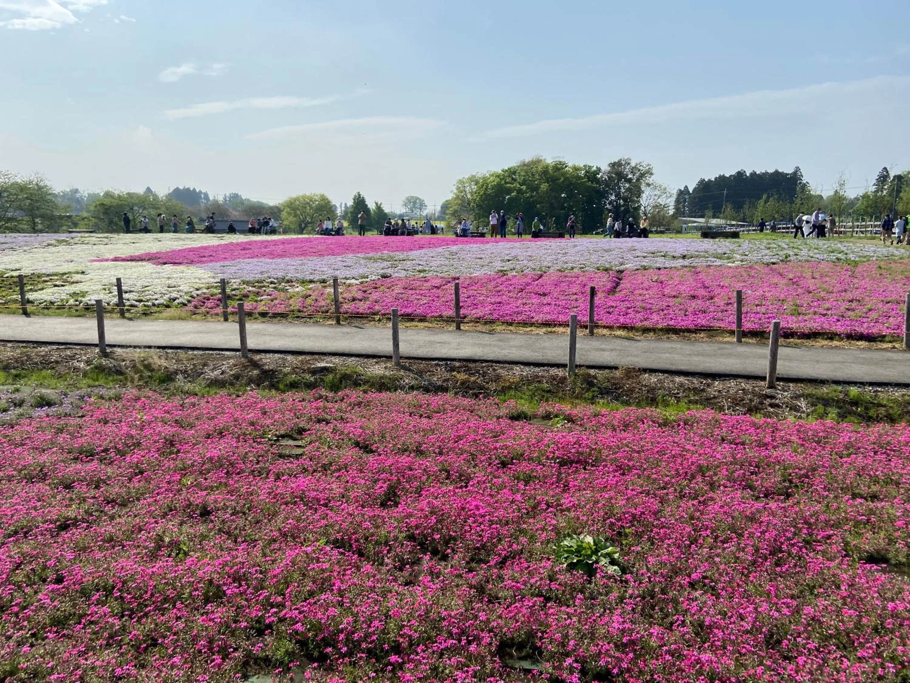 Off site in Vessel Inn Keisei Tsudanuma Ekimae