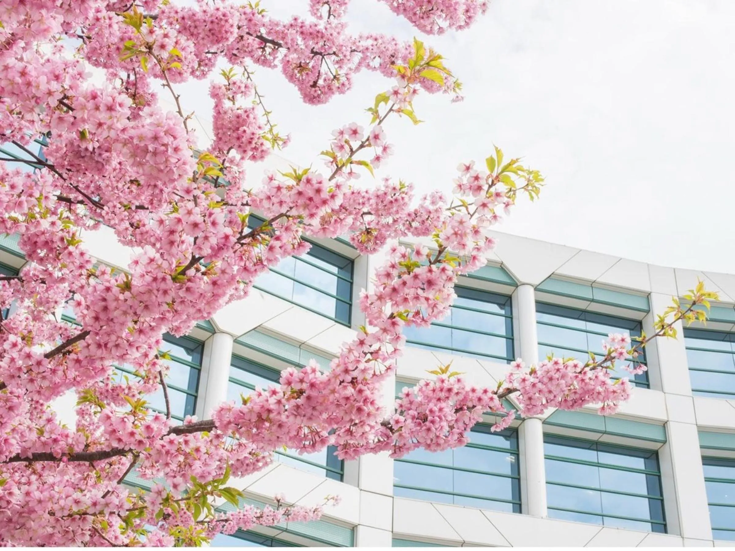 Spring in Vessel Inn Keisei Tsudanuma Ekimae