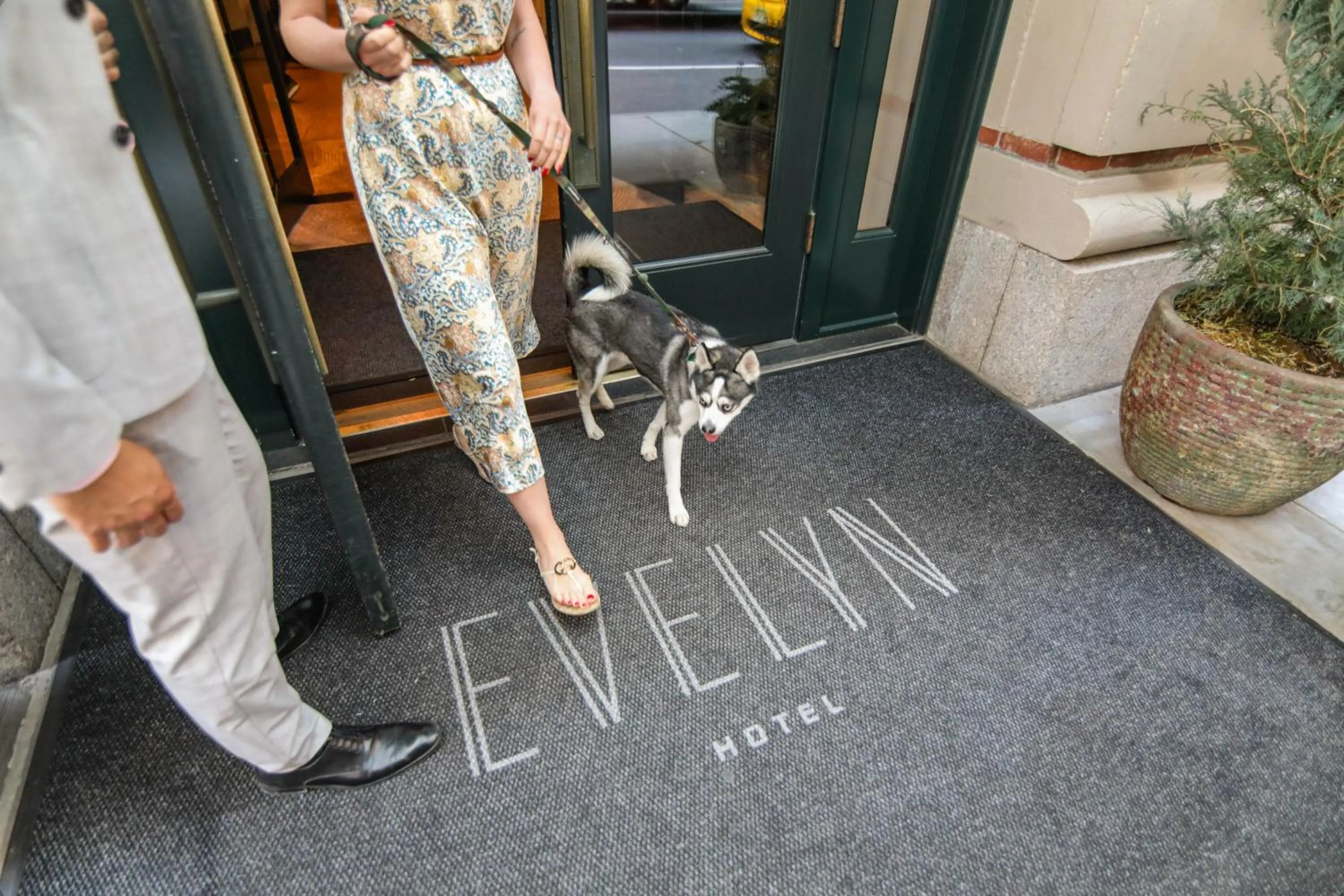 Pets in The Evelyn NoMad