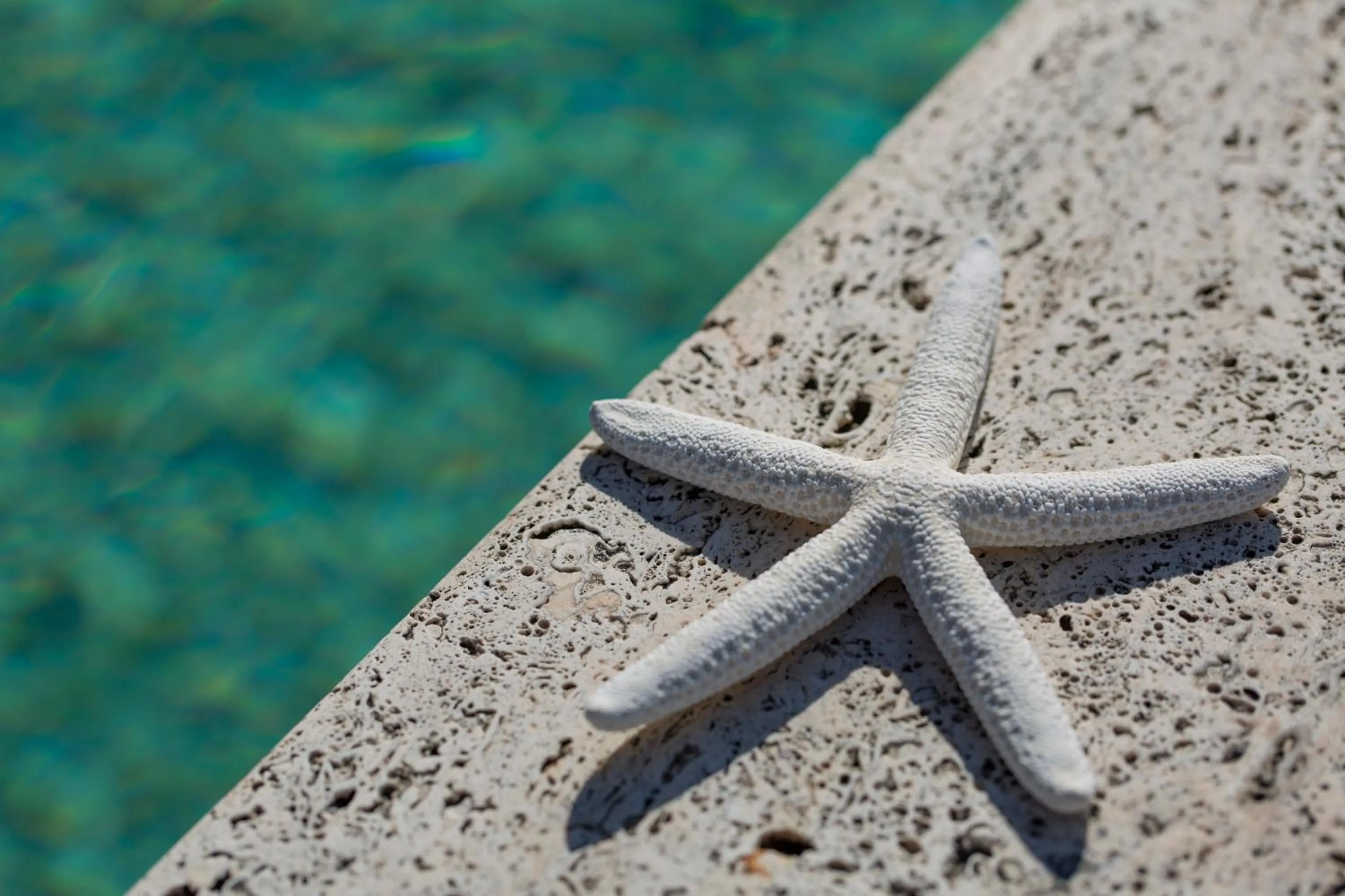 Hot Tub in Nero D'Avorio Aparthotel & SPA