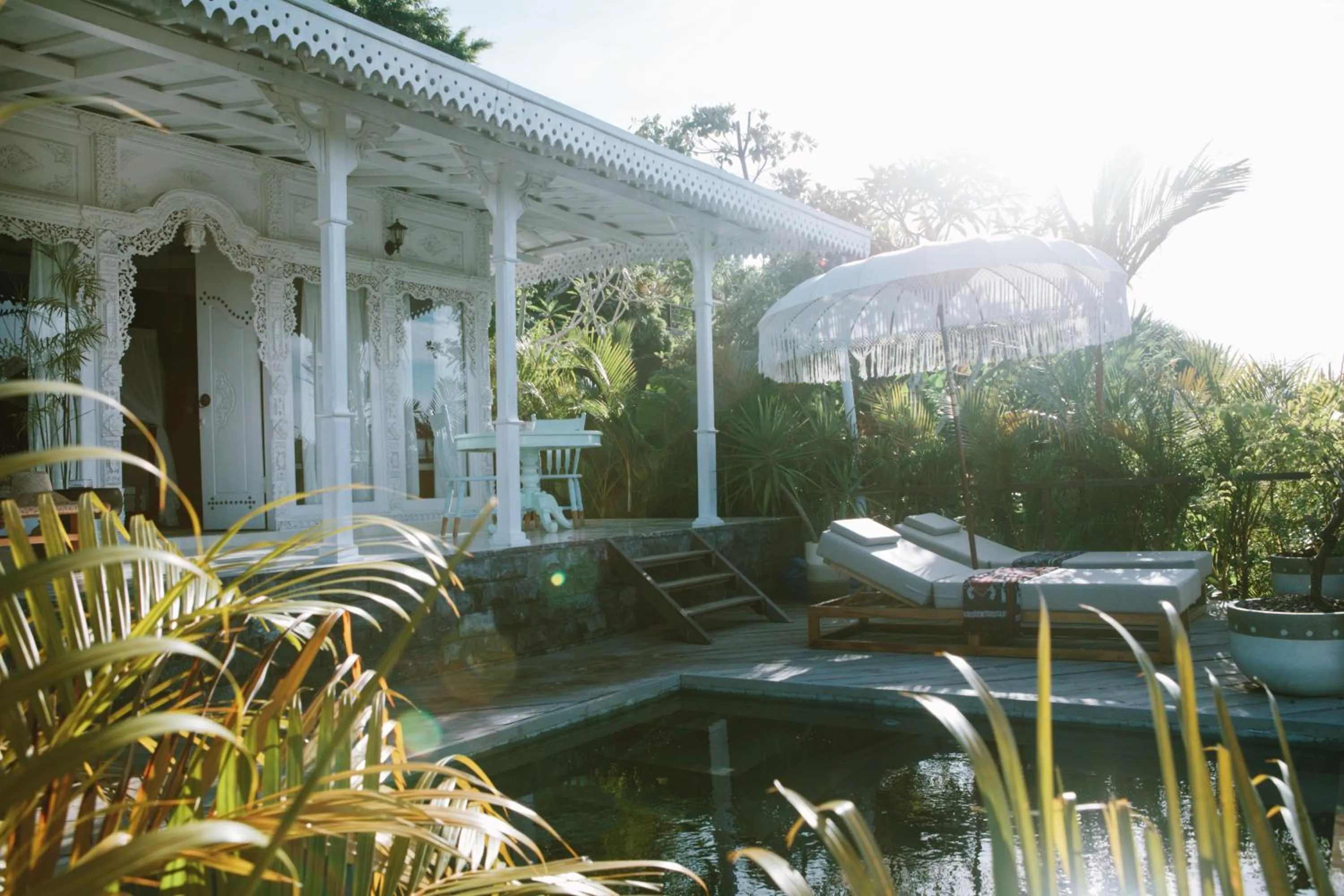 Natural landscape in White Tortoise Eco Villa's