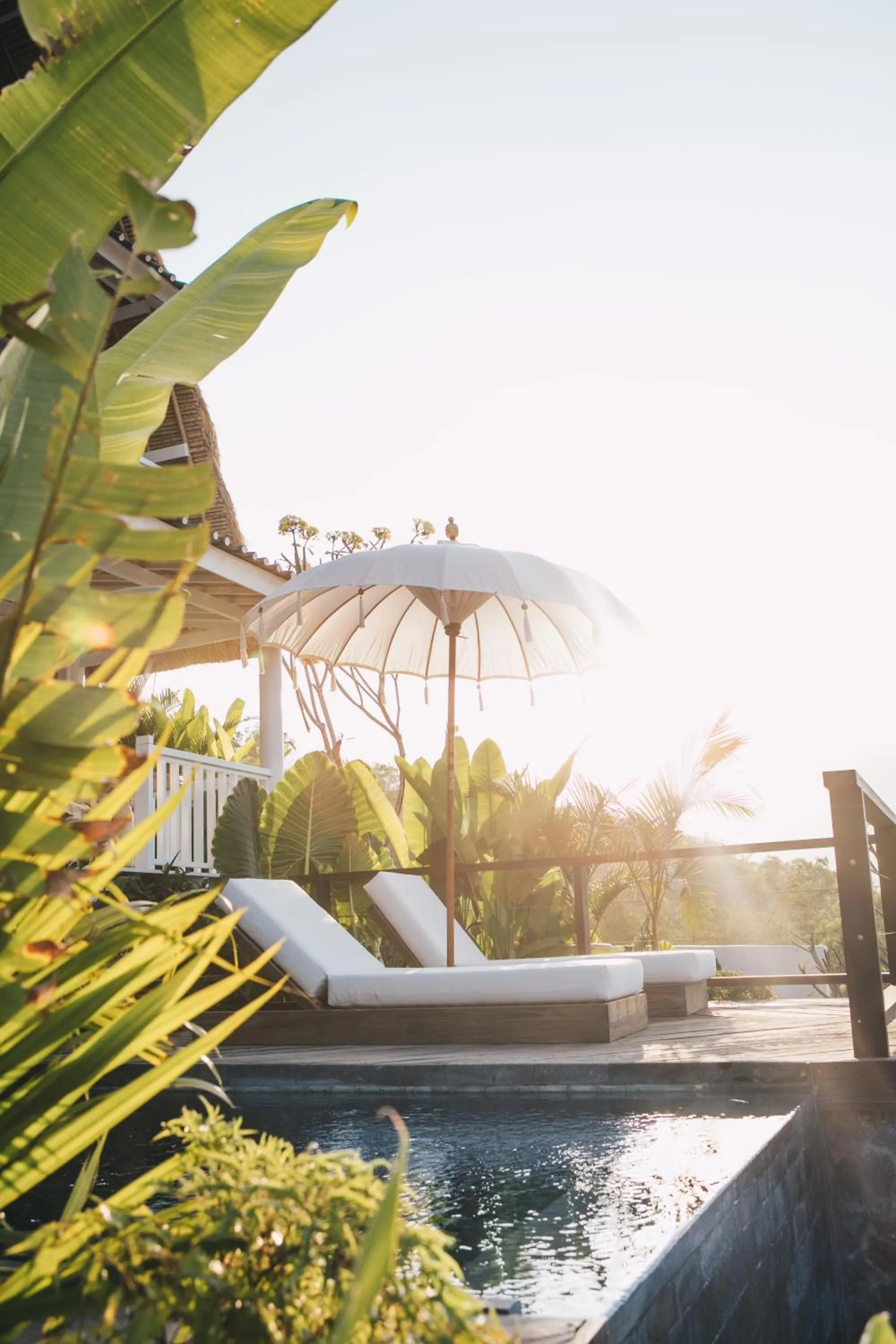Swimming pool in White Tortoise Eco Villa's