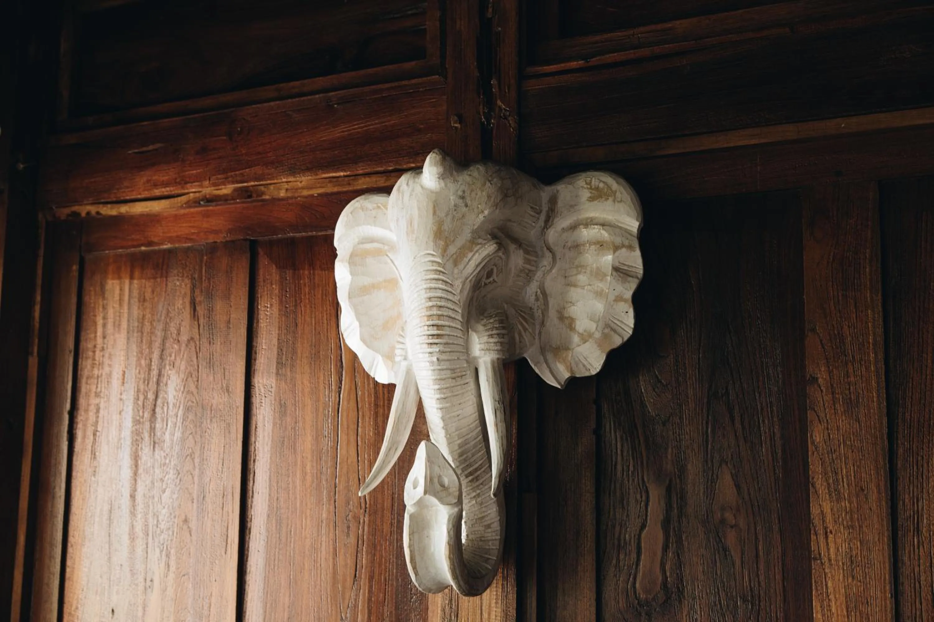 Decorative detail in White Tortoise Eco Villa's