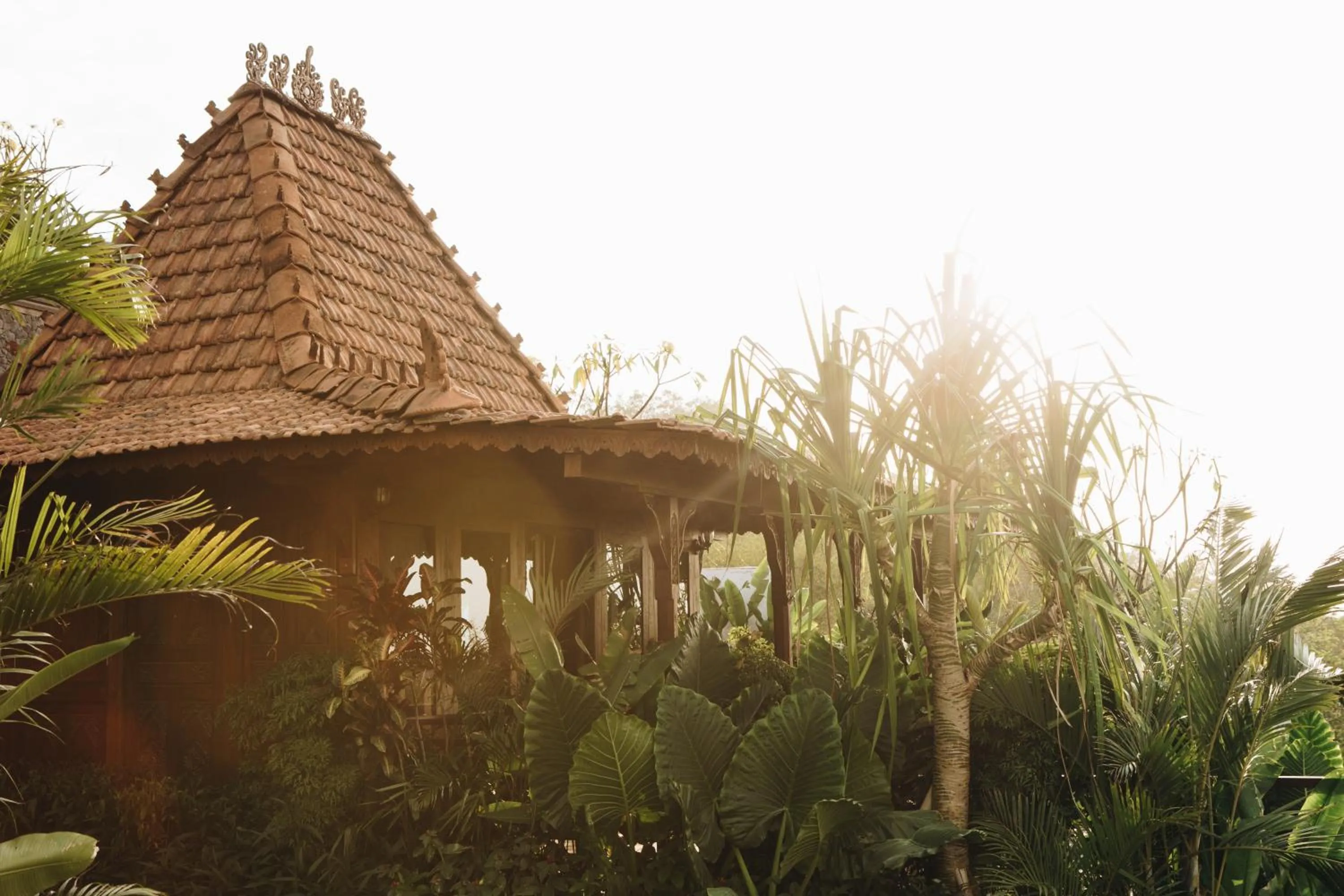 Garden in White Tortoise Eco Villa's