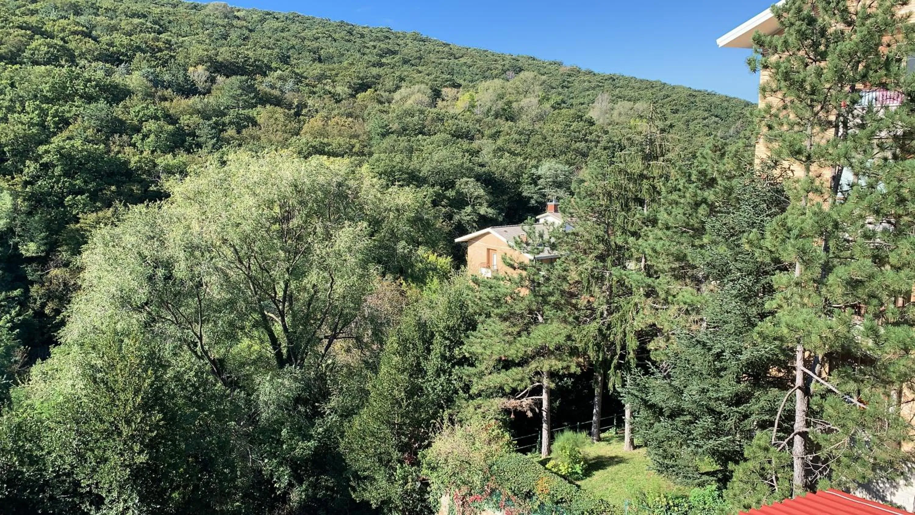 Property building in Al bosco incantato
