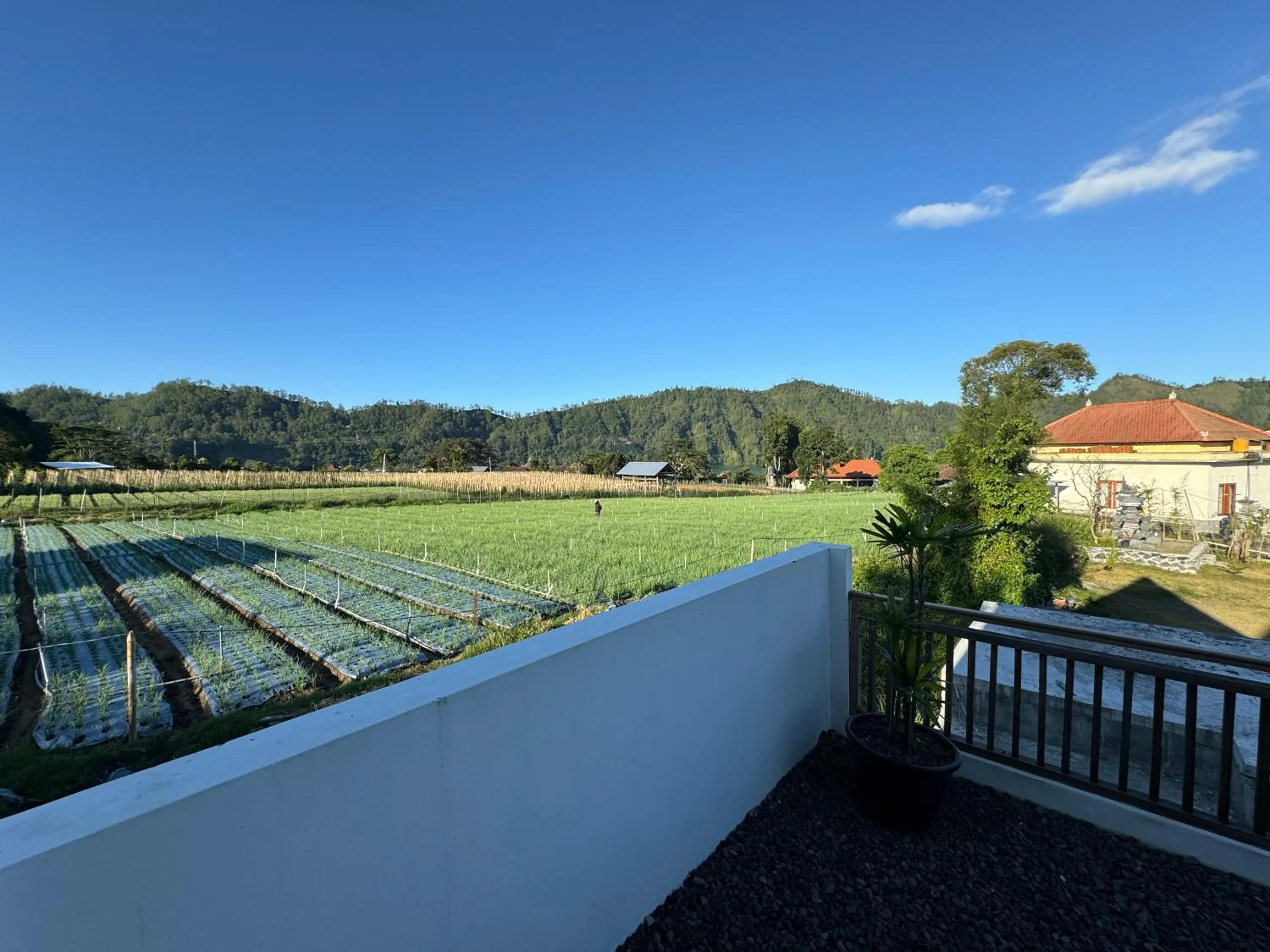 Day in Batur lake view