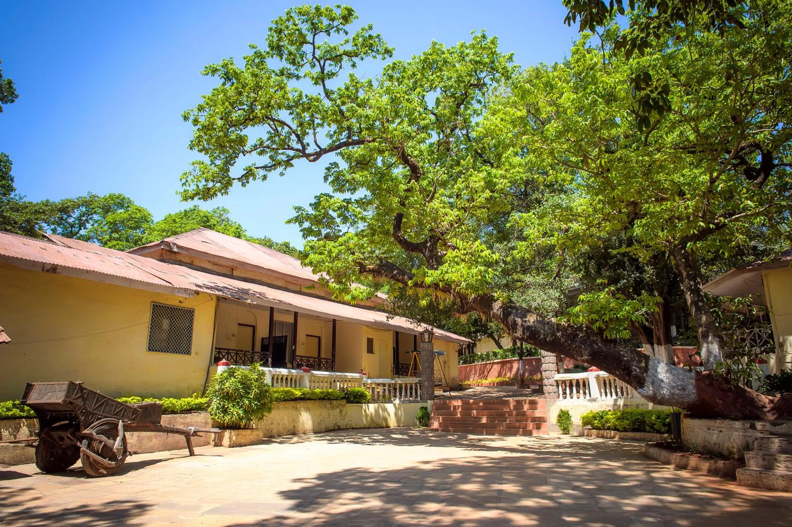 Property building in Adamo The Village