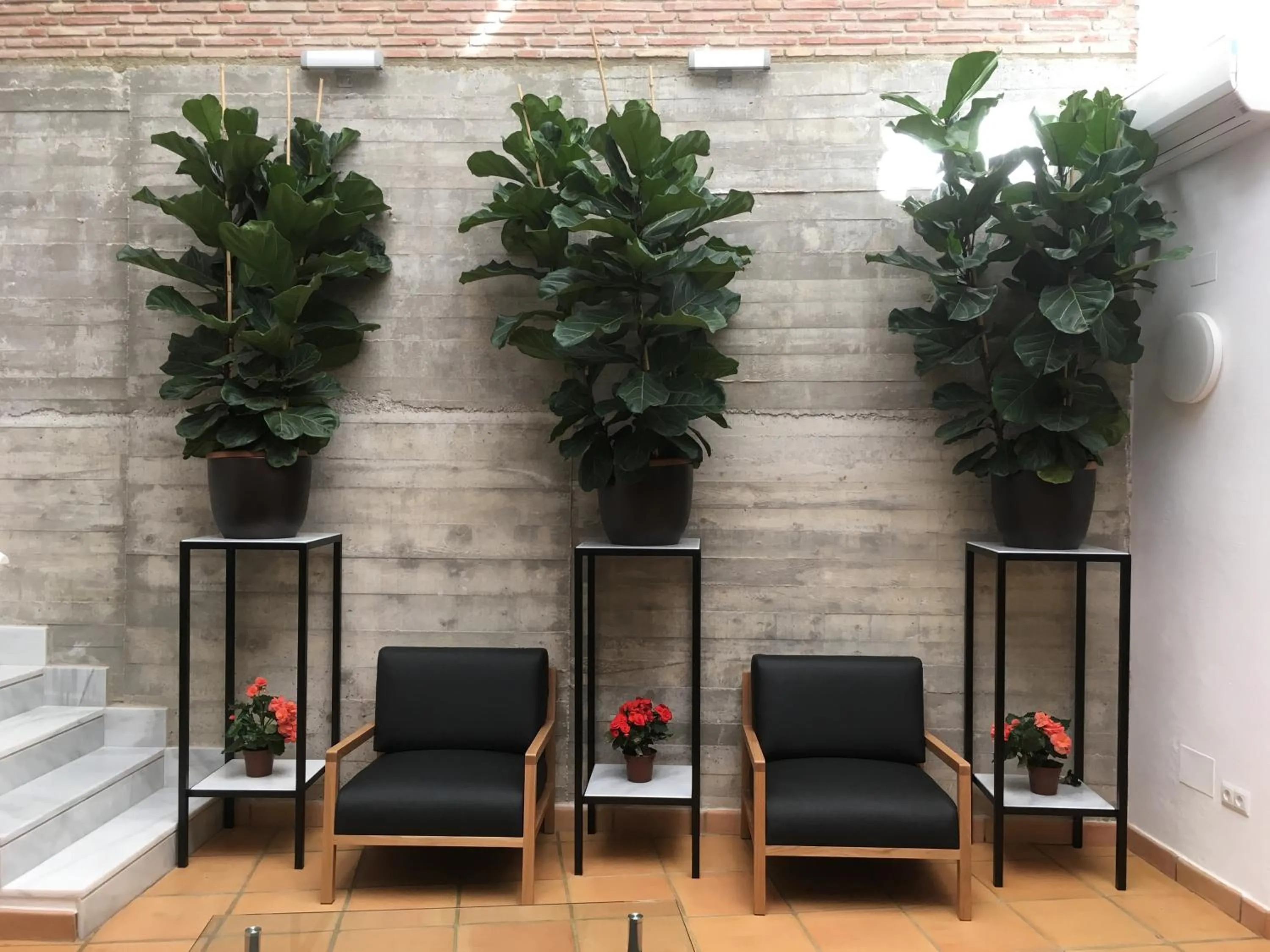 Lobby or reception in Hotel Ronda Nuevo