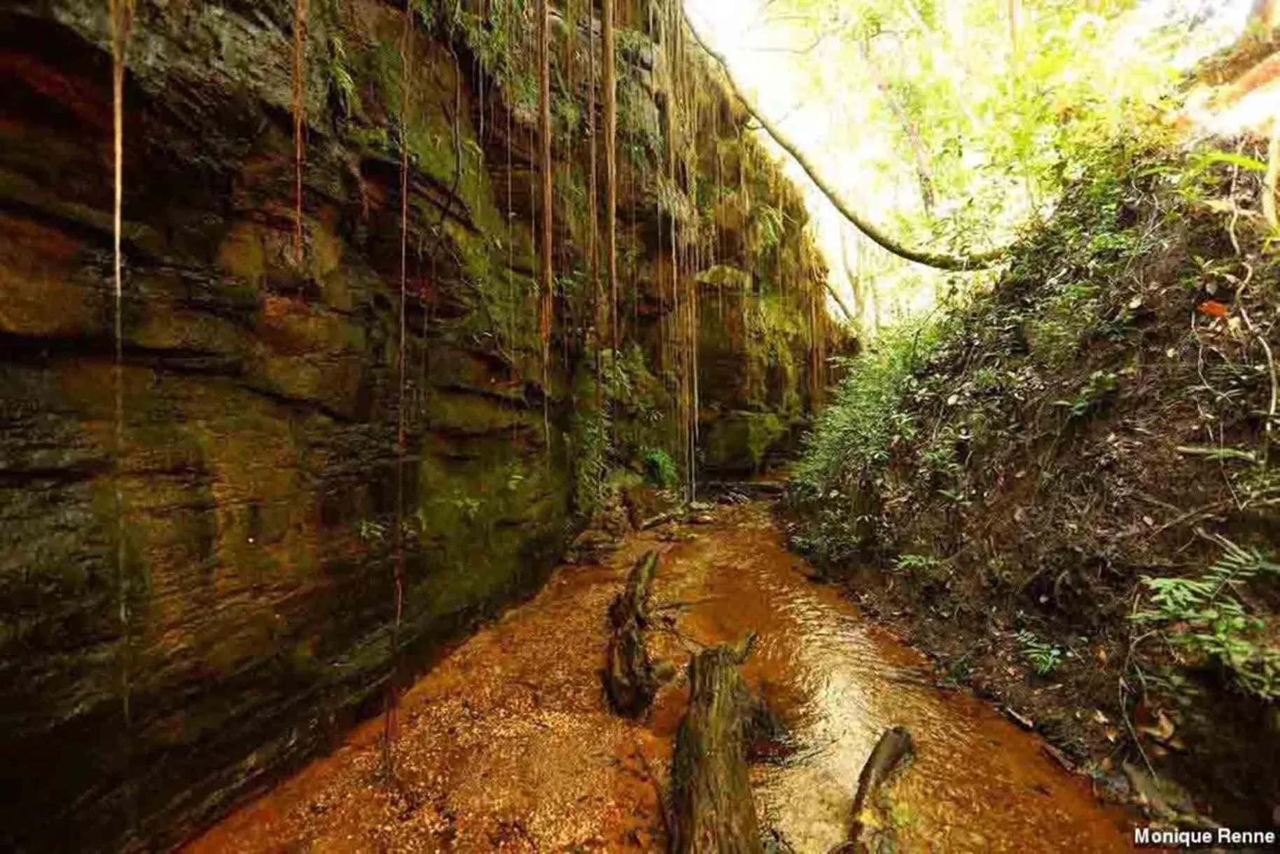 Nearby landmark in Hplus Premium Palmas