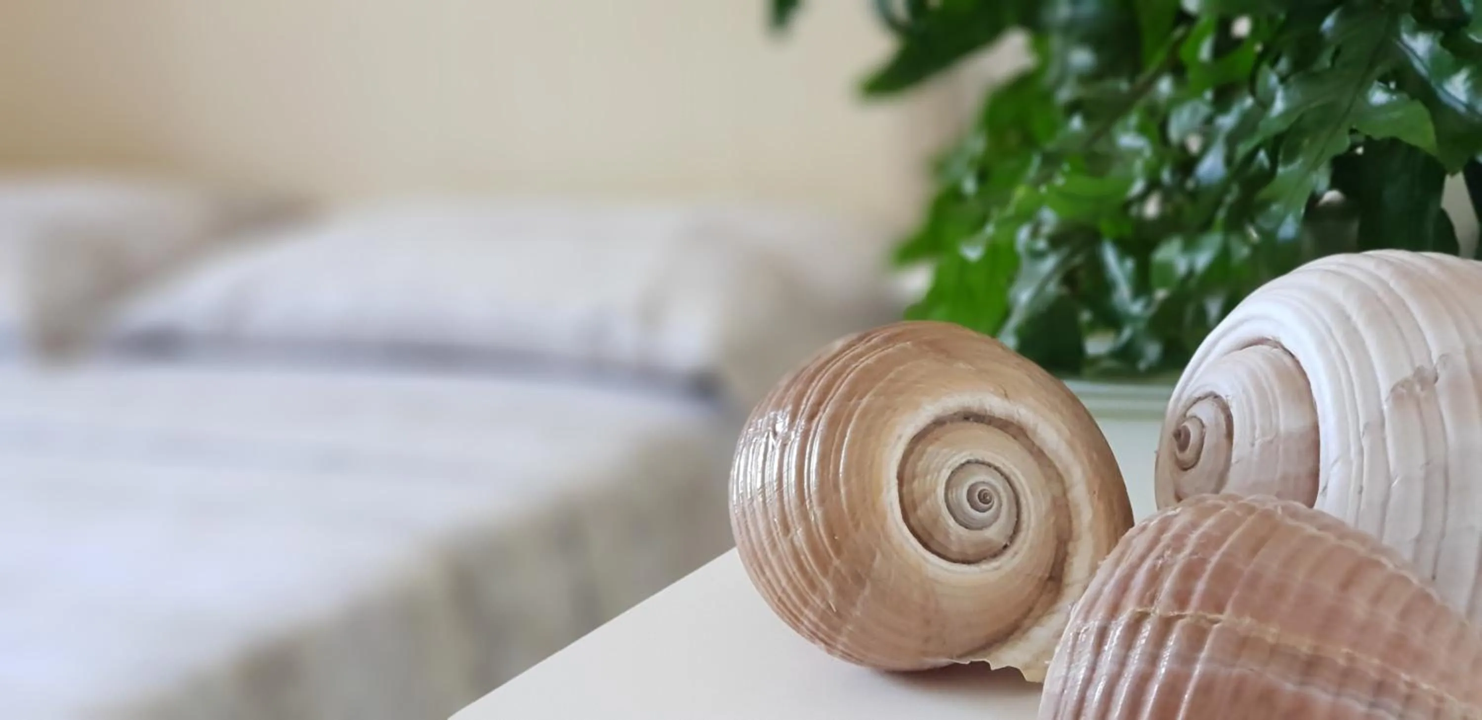 Villa Sofia Affittacamere