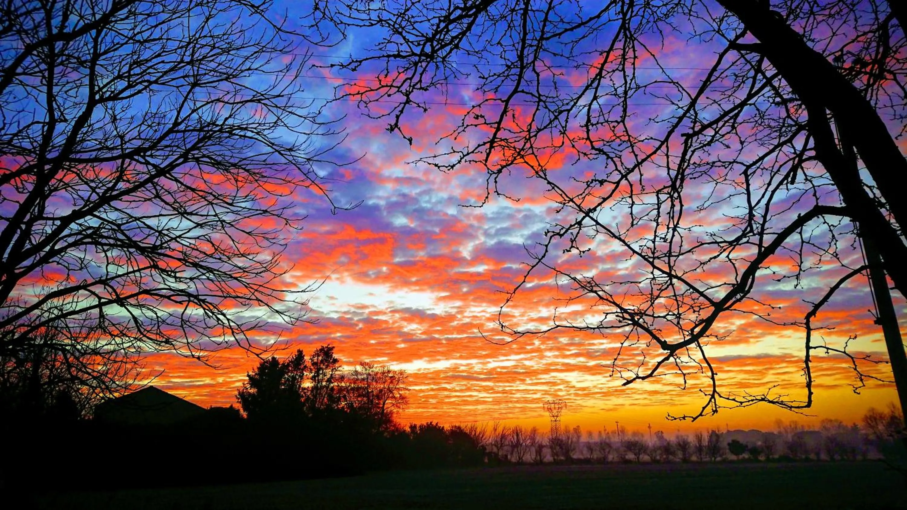 Garden in La Casa del Giardiniere