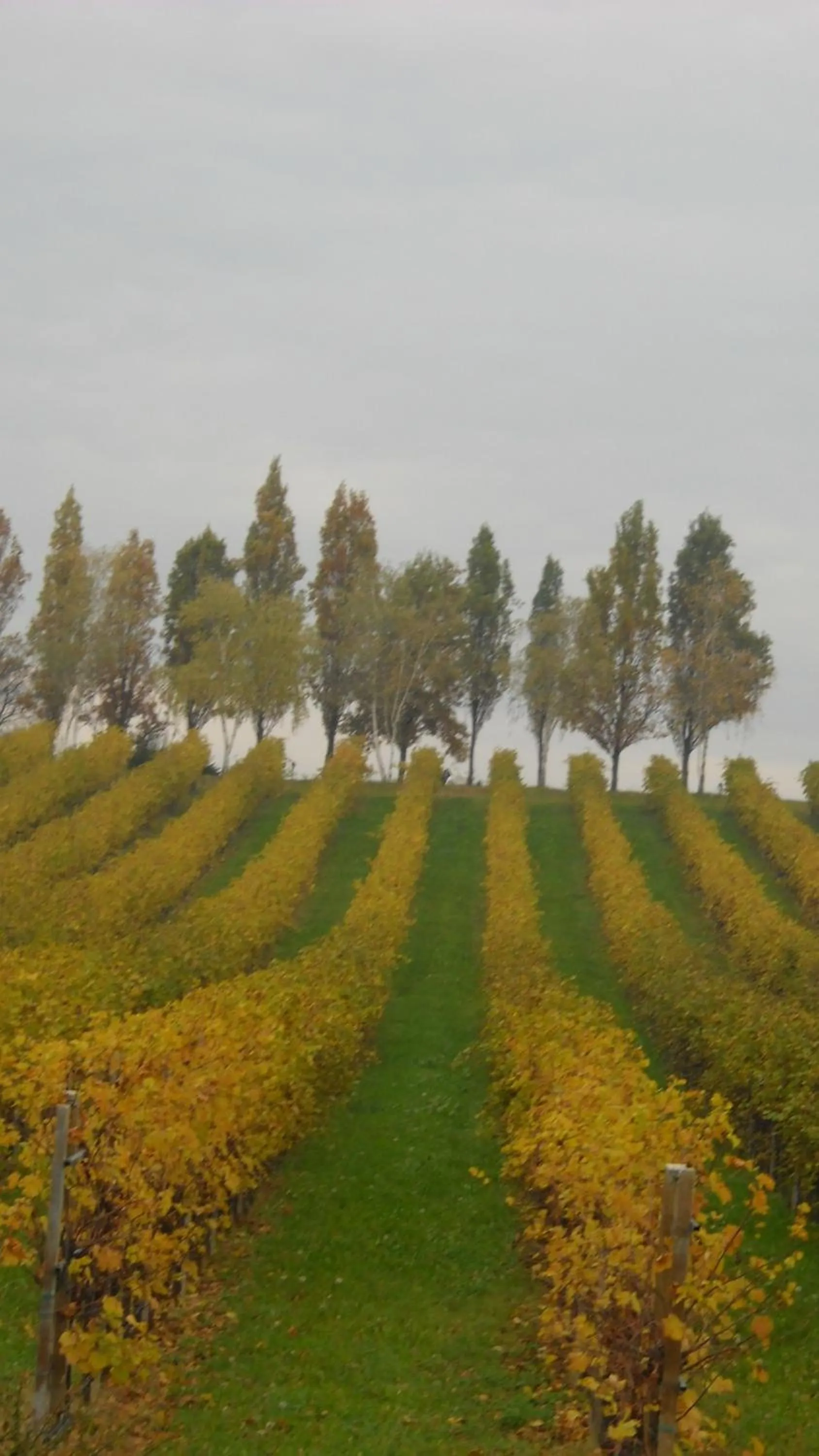 Area and facilities in La Casa del Giardiniere