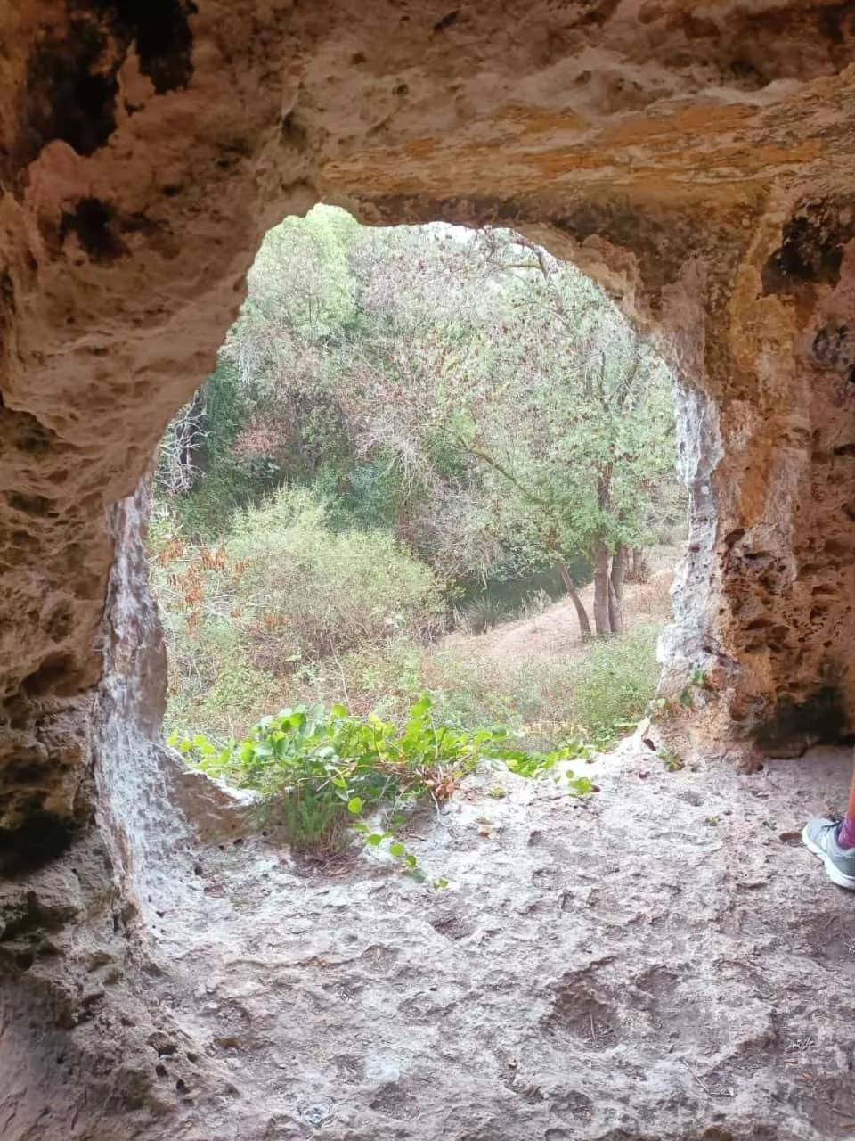 Spring in Villa Tasca