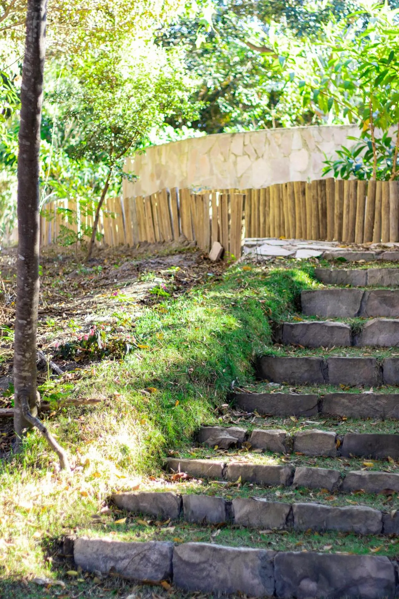 Natural landscape in Pousada Amanhecer