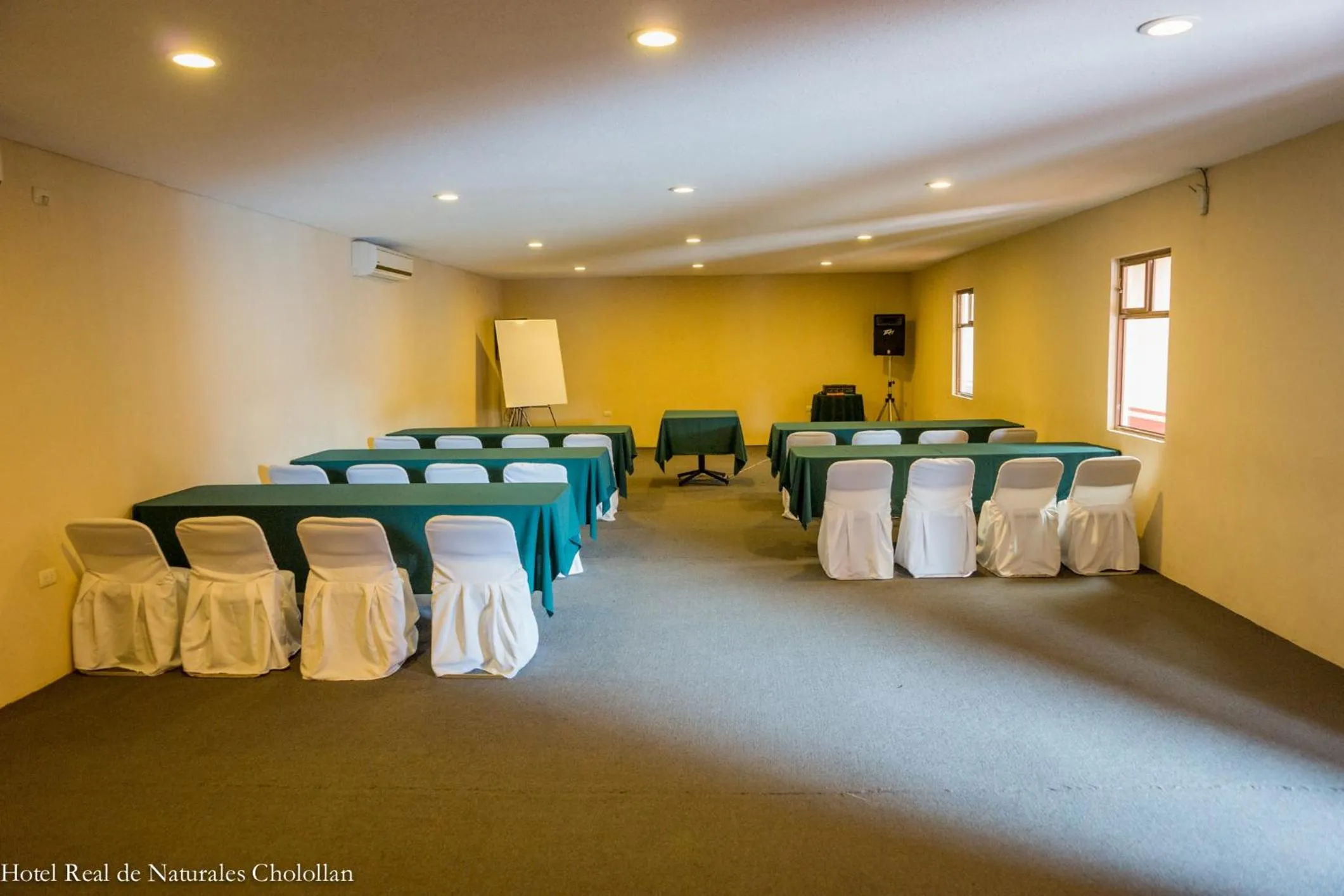 Business facilities in Hotel Real de Naturales