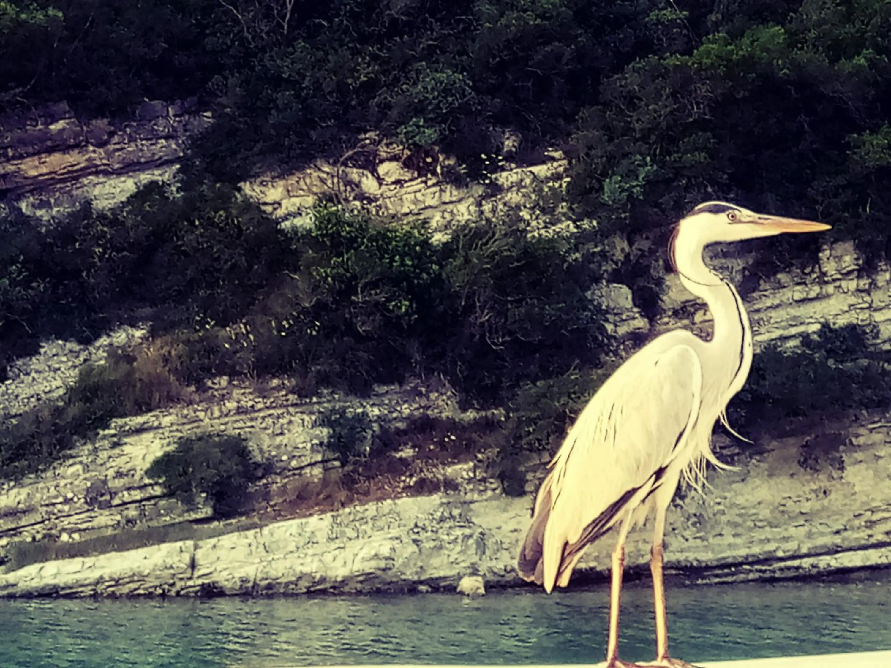 Natural landscape in Ağva Carpediem Otel