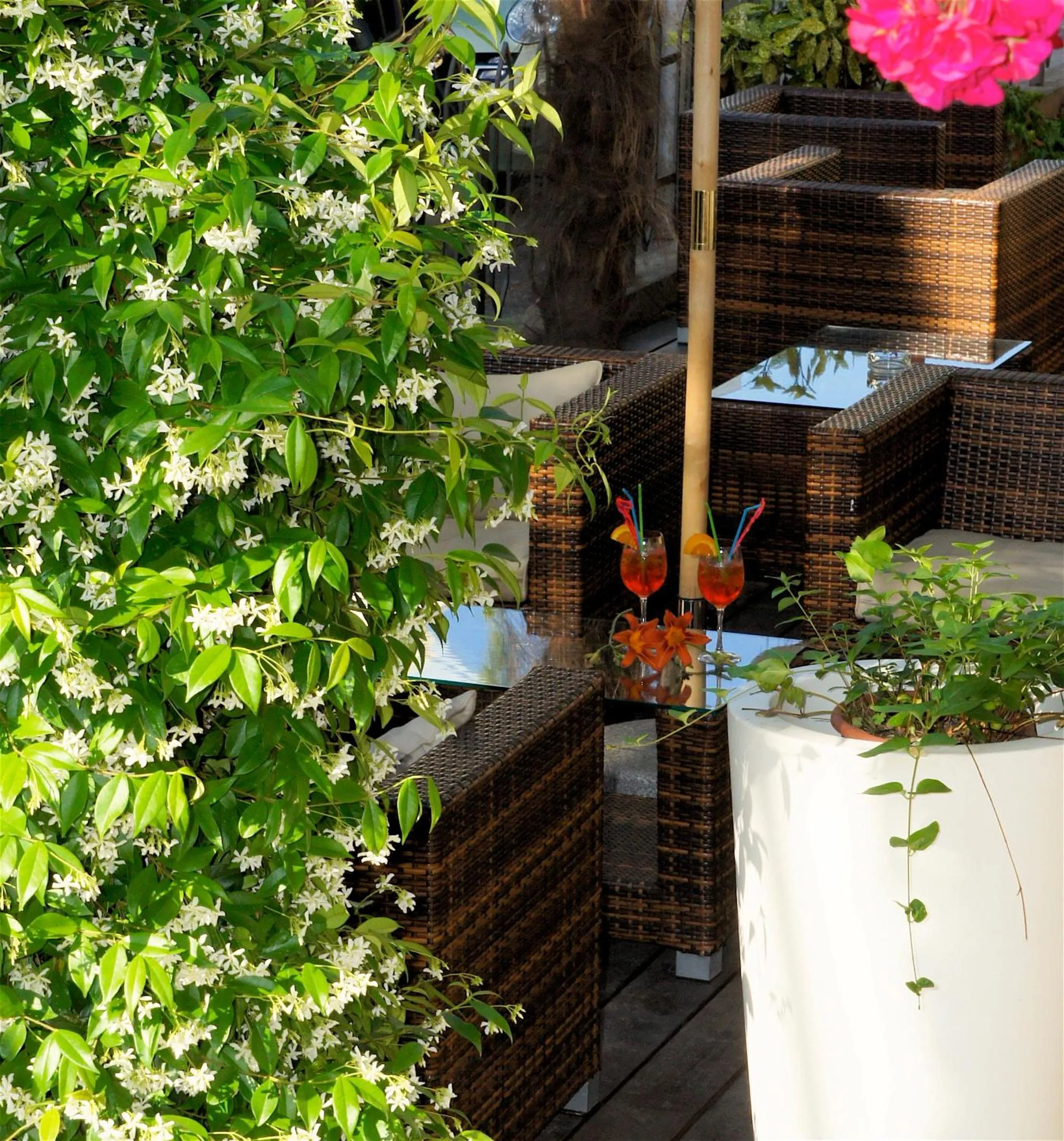 Garden in Hotel Loretta & Dependance