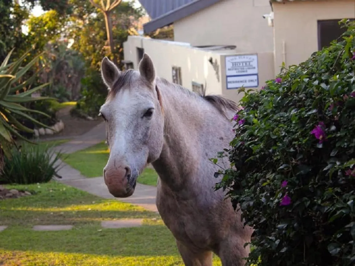 Property building in THE HAVEN HOTEL