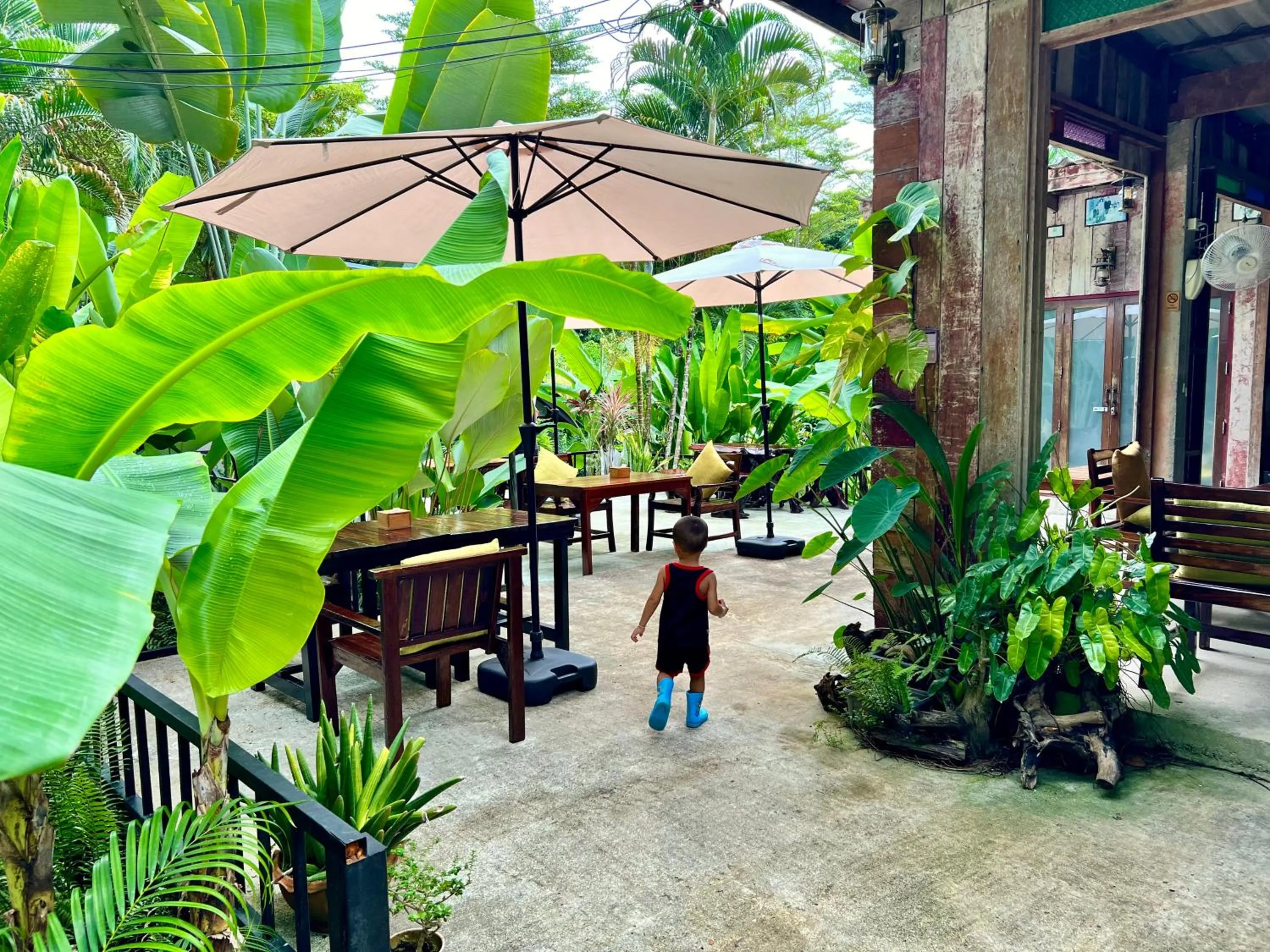 Restaurant/places to eat in Wave-F