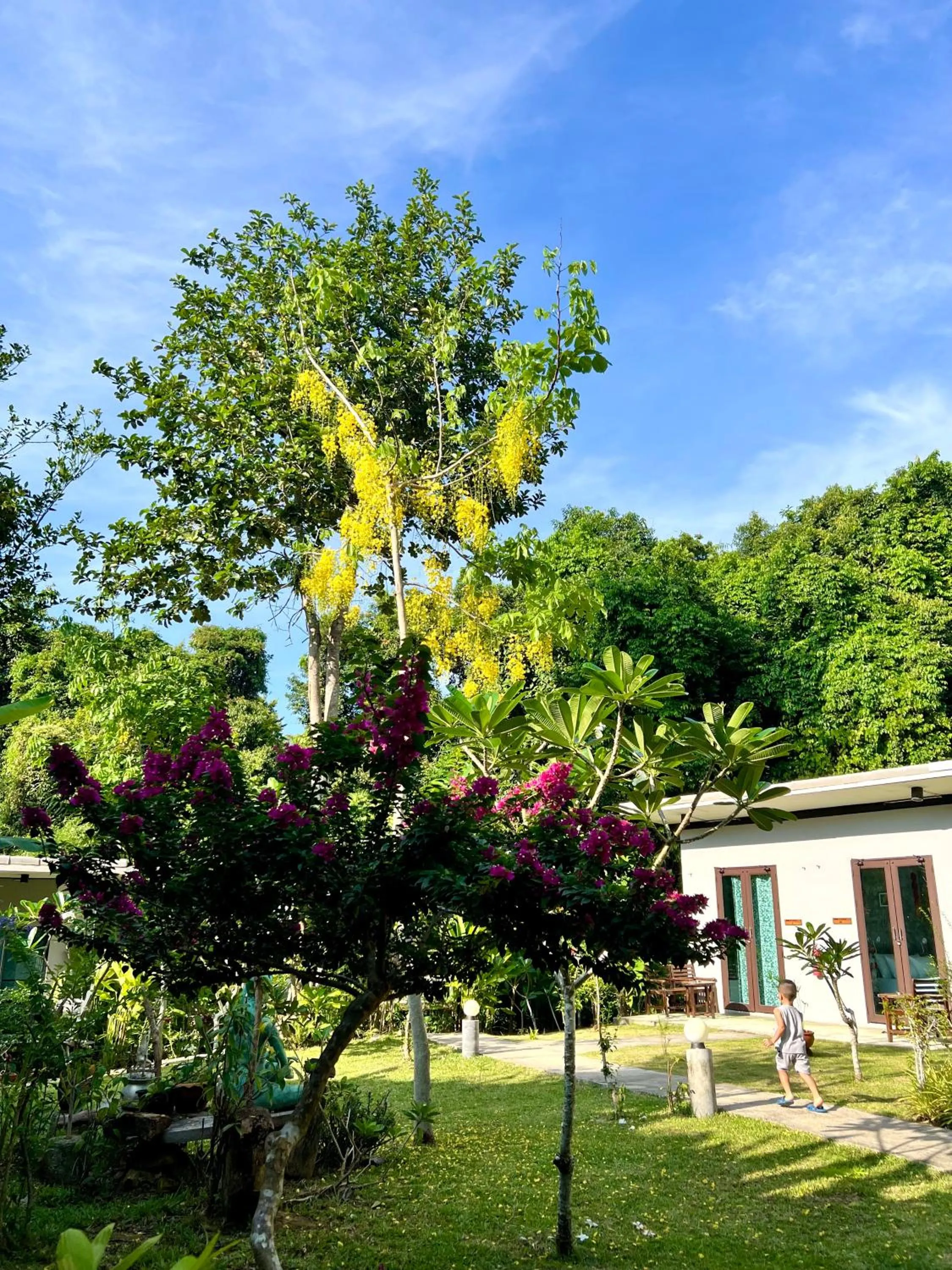 Garden view in Wave-F