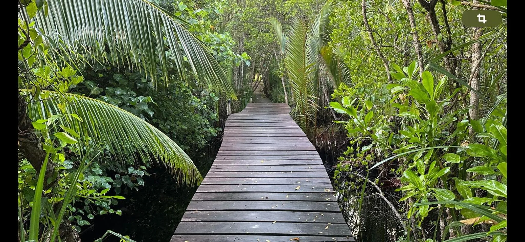 Spa and wellness centre/facilities in Mutiara Beach Resort