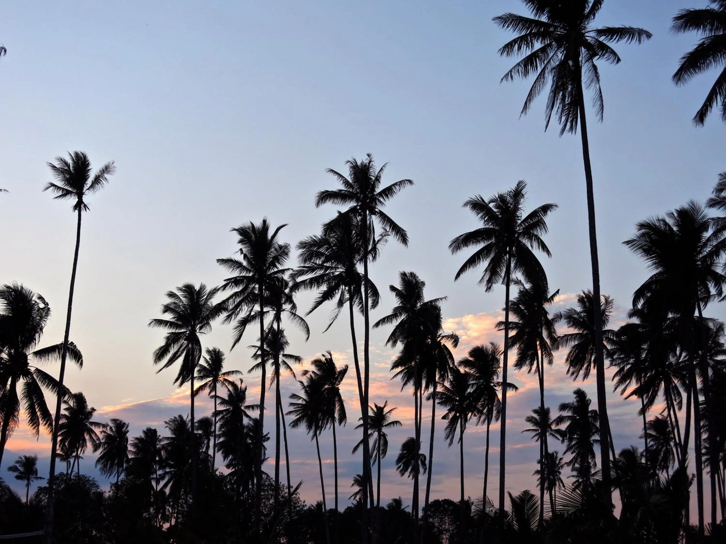 Natural landscape in Mutiara Beach Resort