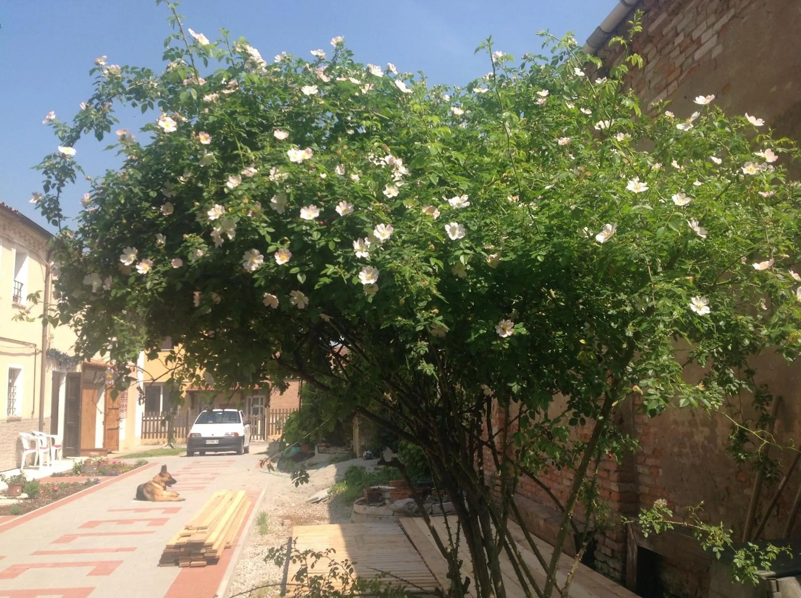 Property building in B&B Ciliegio Felice