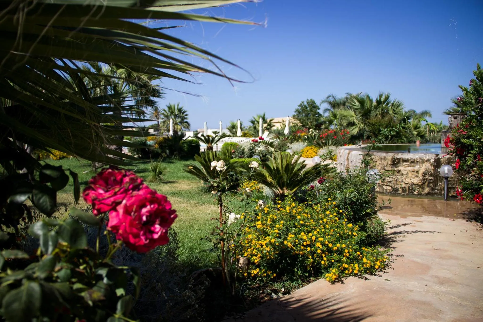 Garden in Case Vacanza Torre Lupa