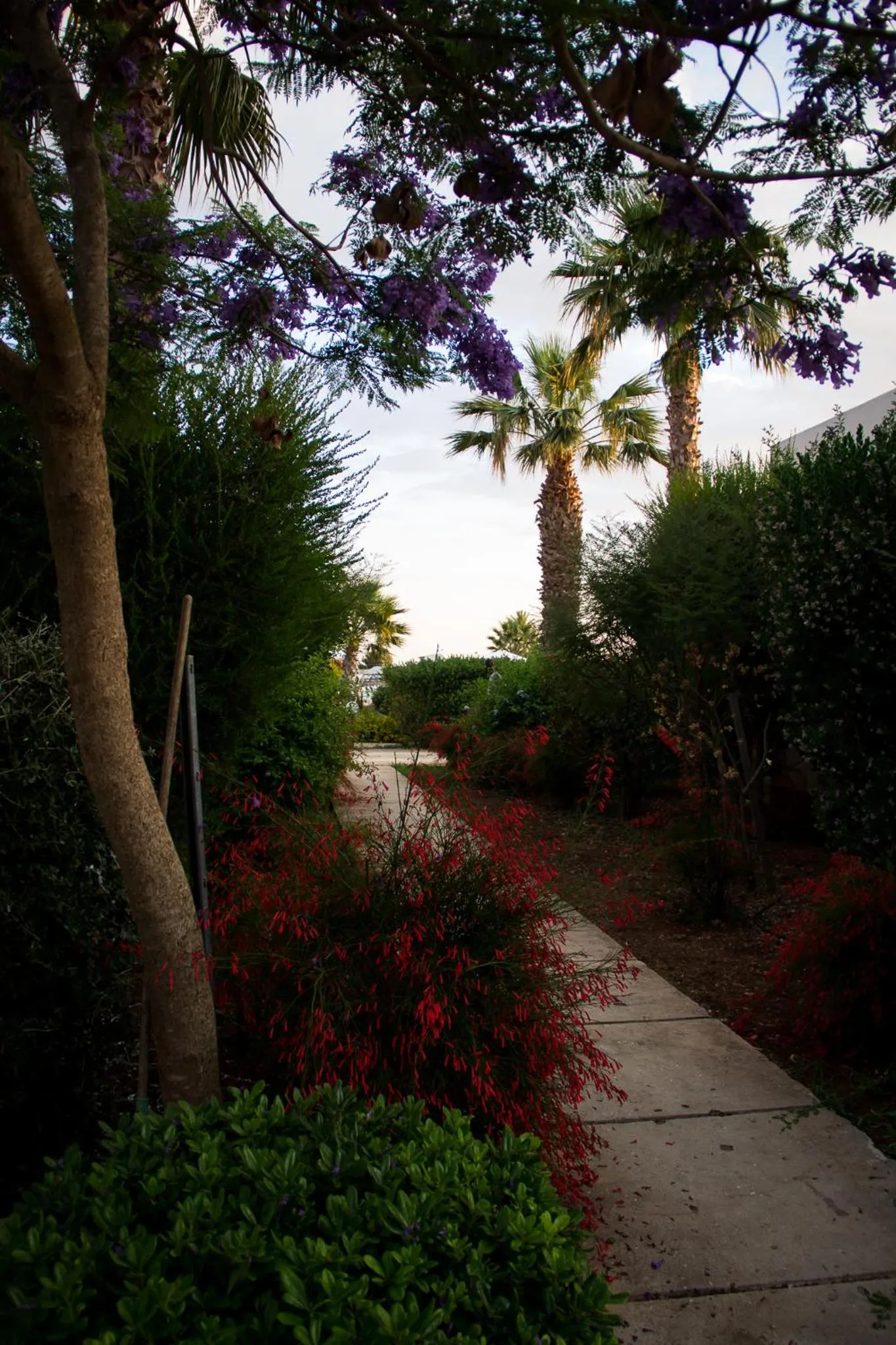 Garden in Case Vacanza Torre Lupa