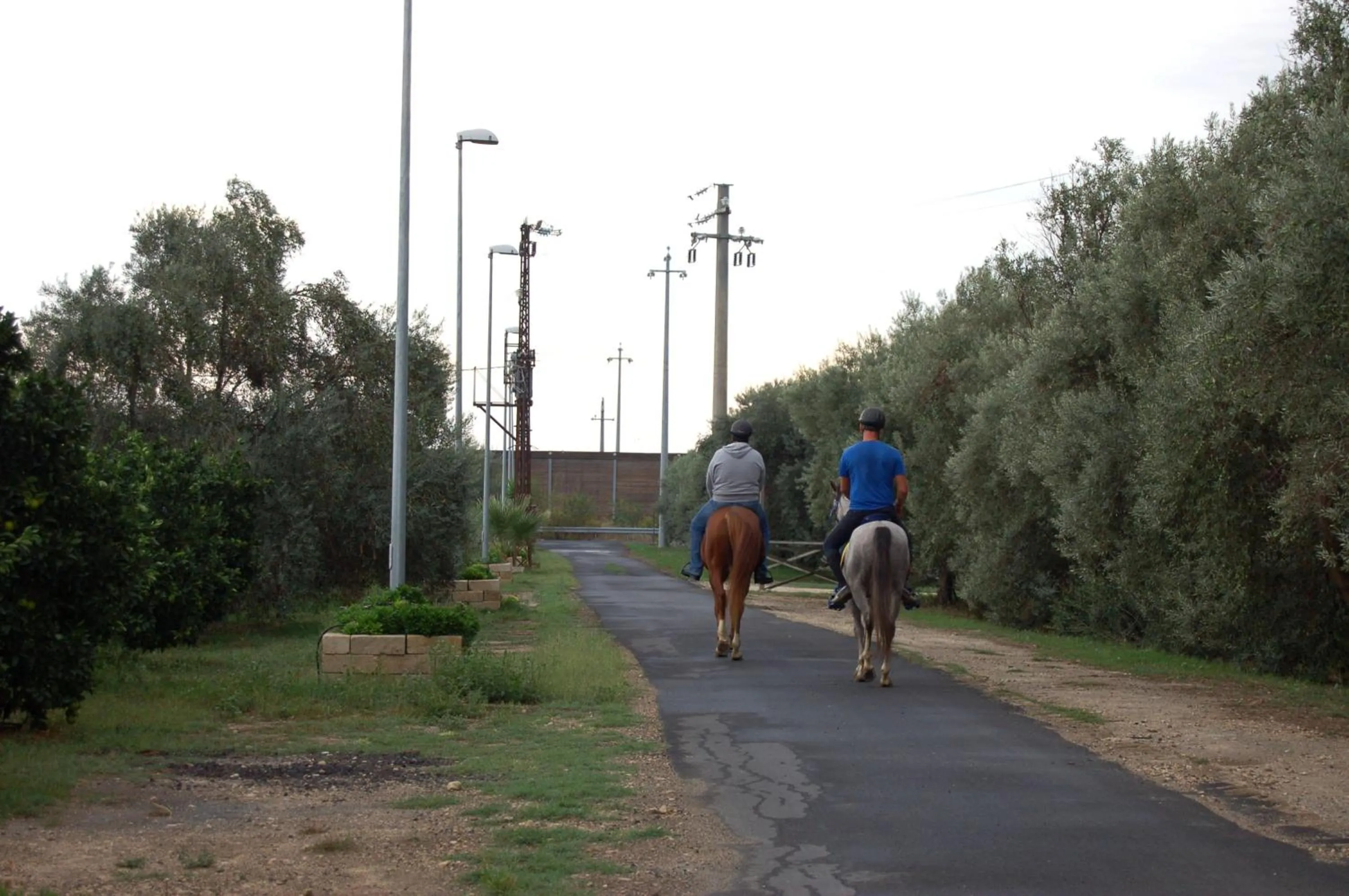 Horse-riding in Il Giardino Del Sole