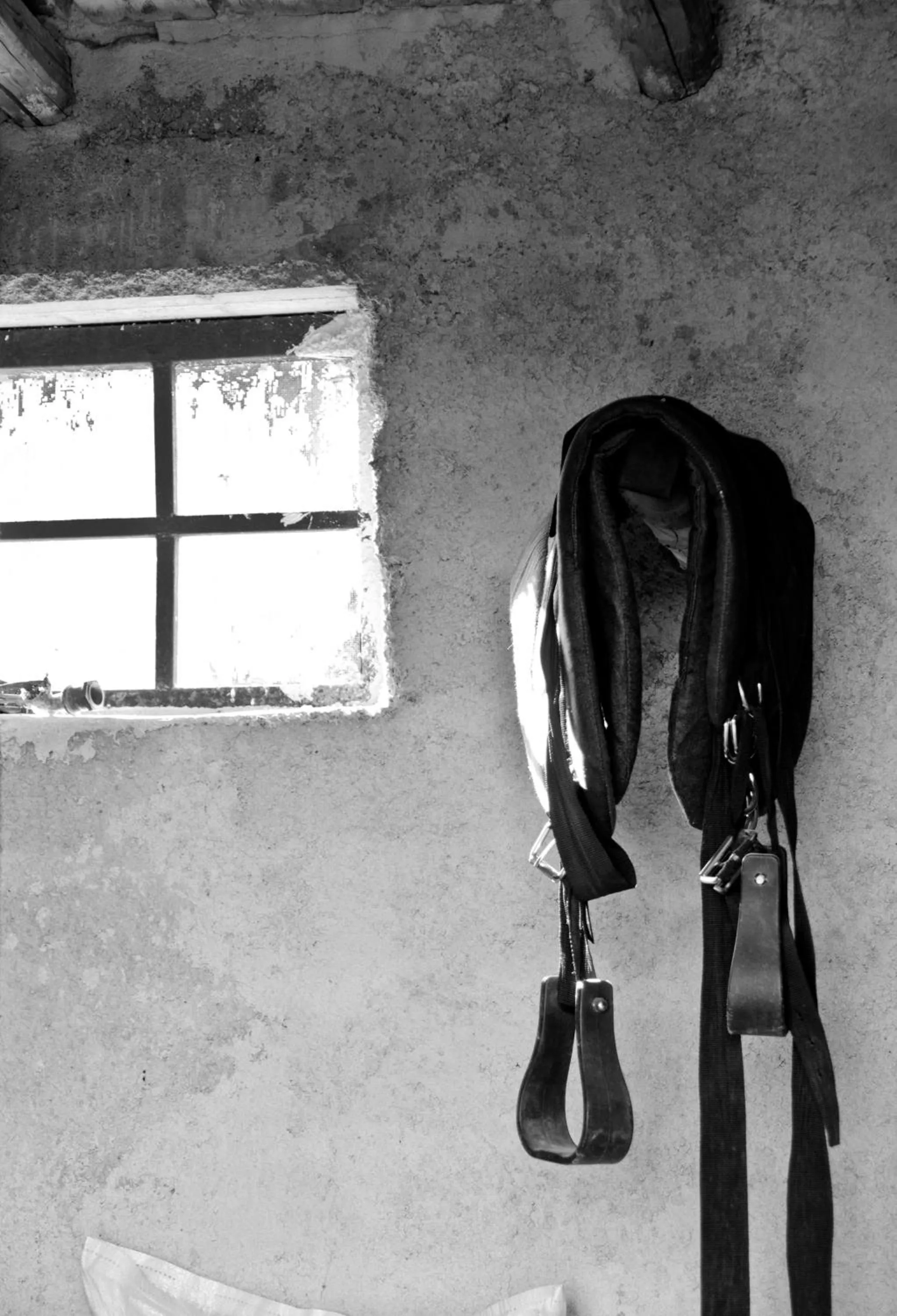 Horse-riding in Il Giardino Del Sole