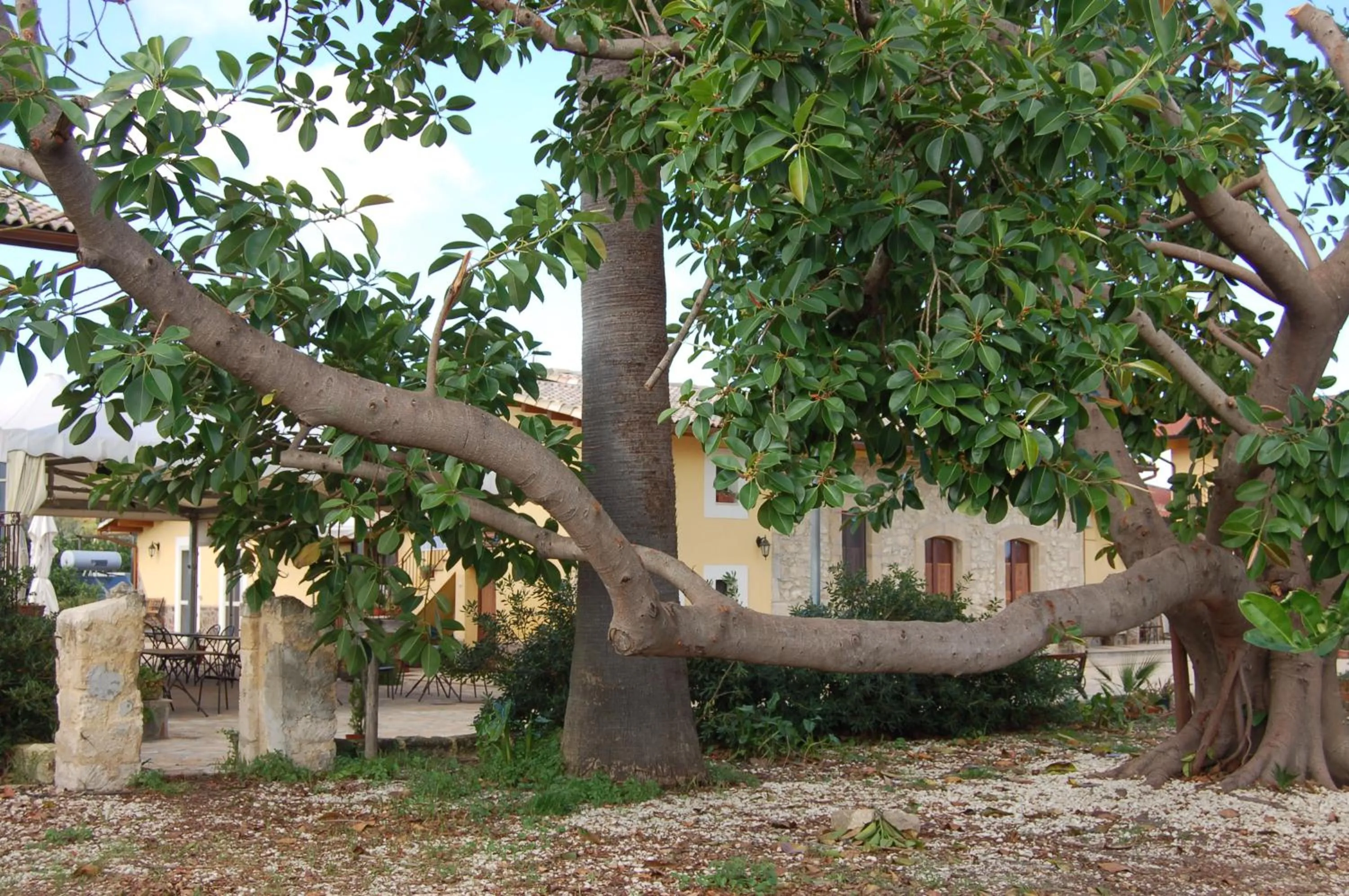 Garden in Il Giardino Del Sole