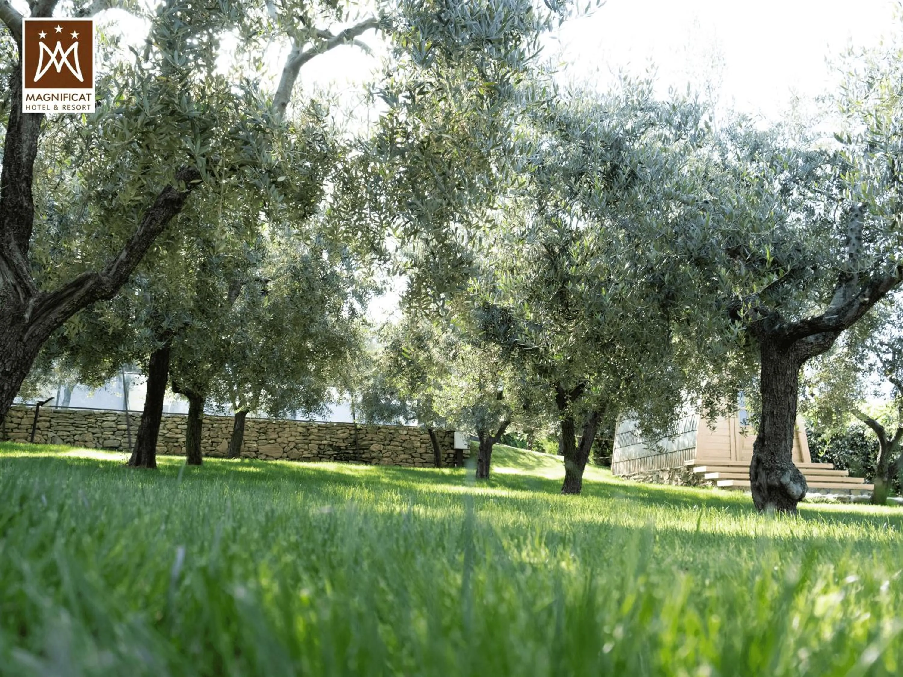 Garden in Magnificat Hotel&Resort