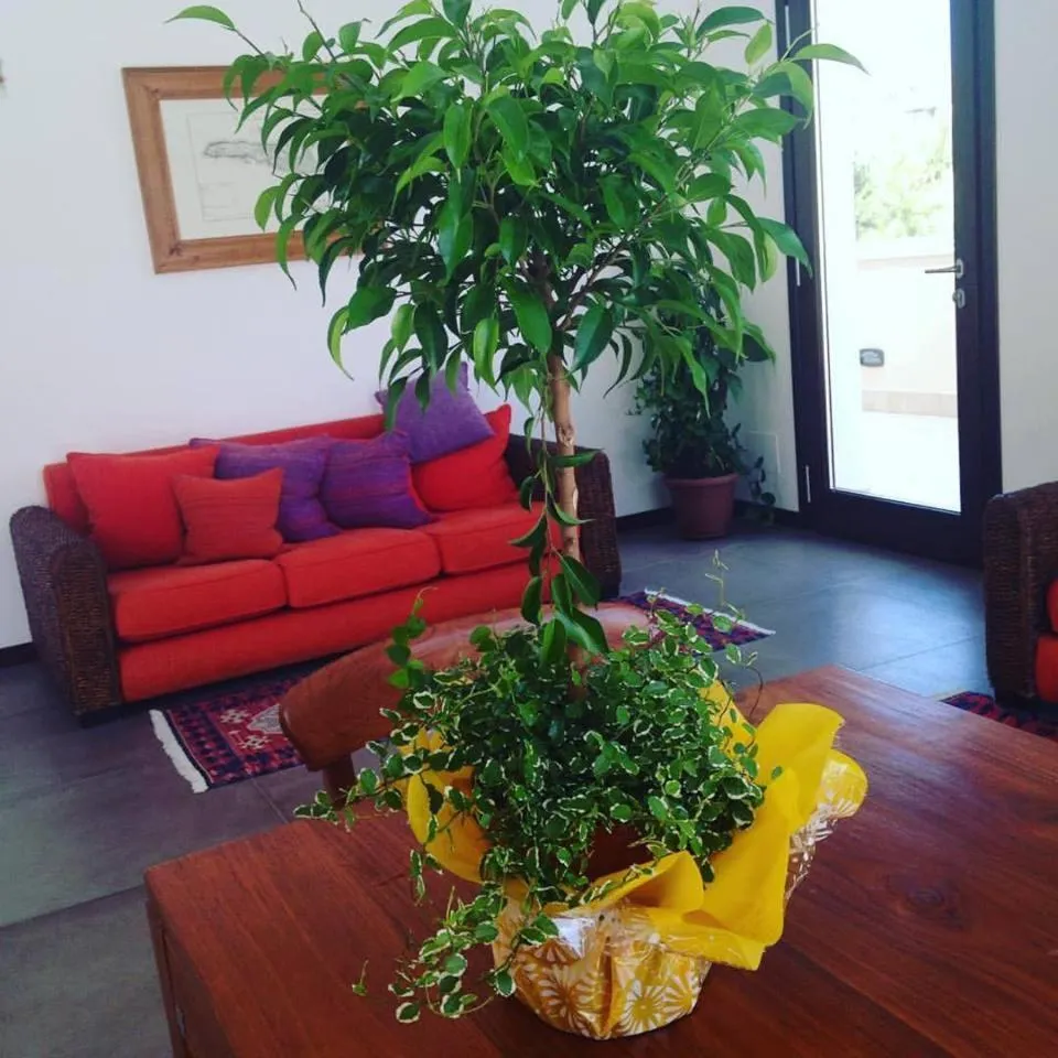 Day in Moresco Resort