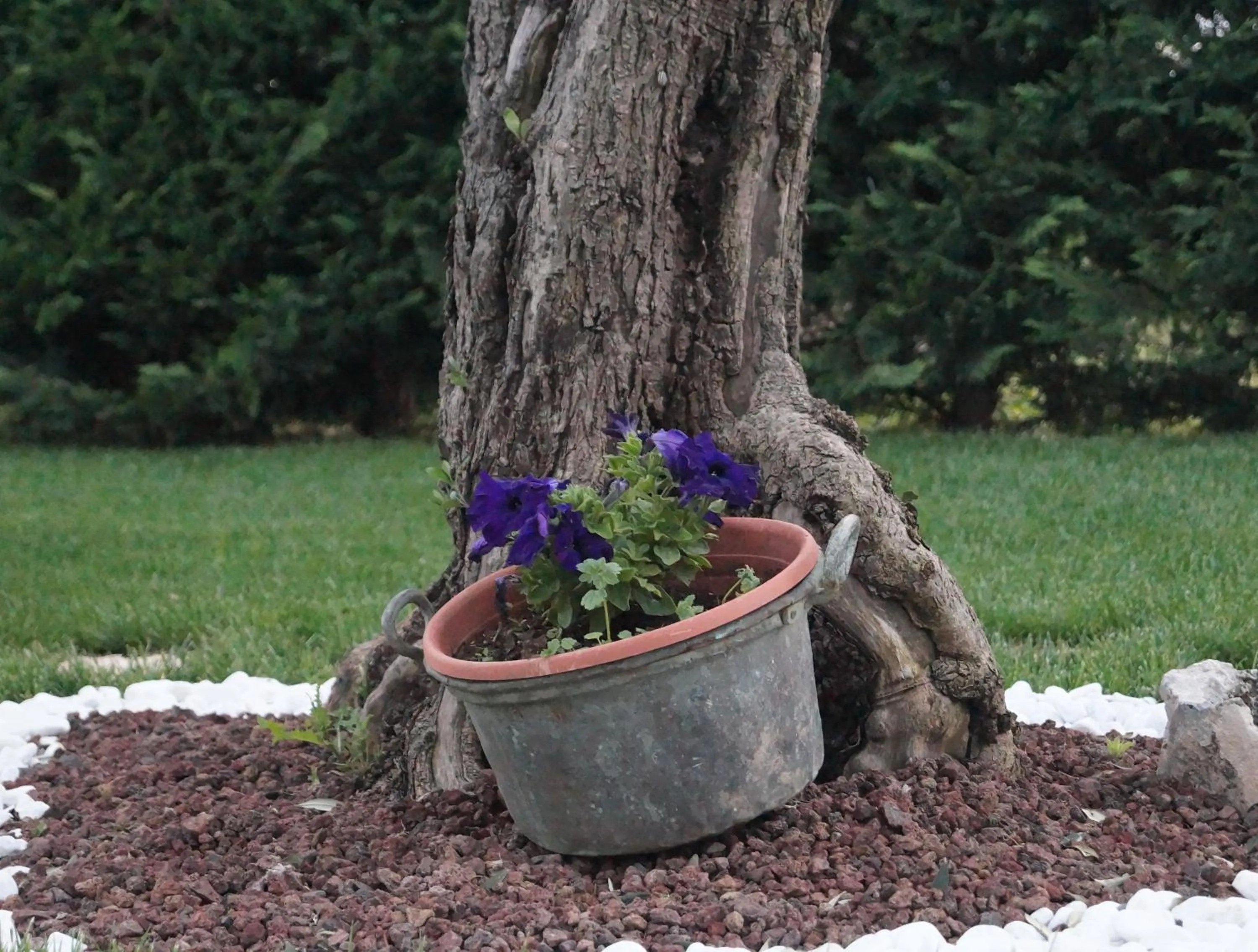 Garden in La Casa Del Nonno
