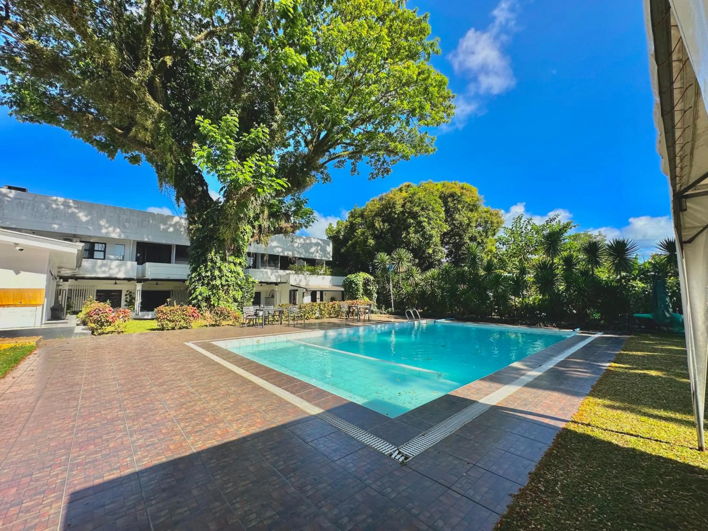 Property building in Fernando's Hotel