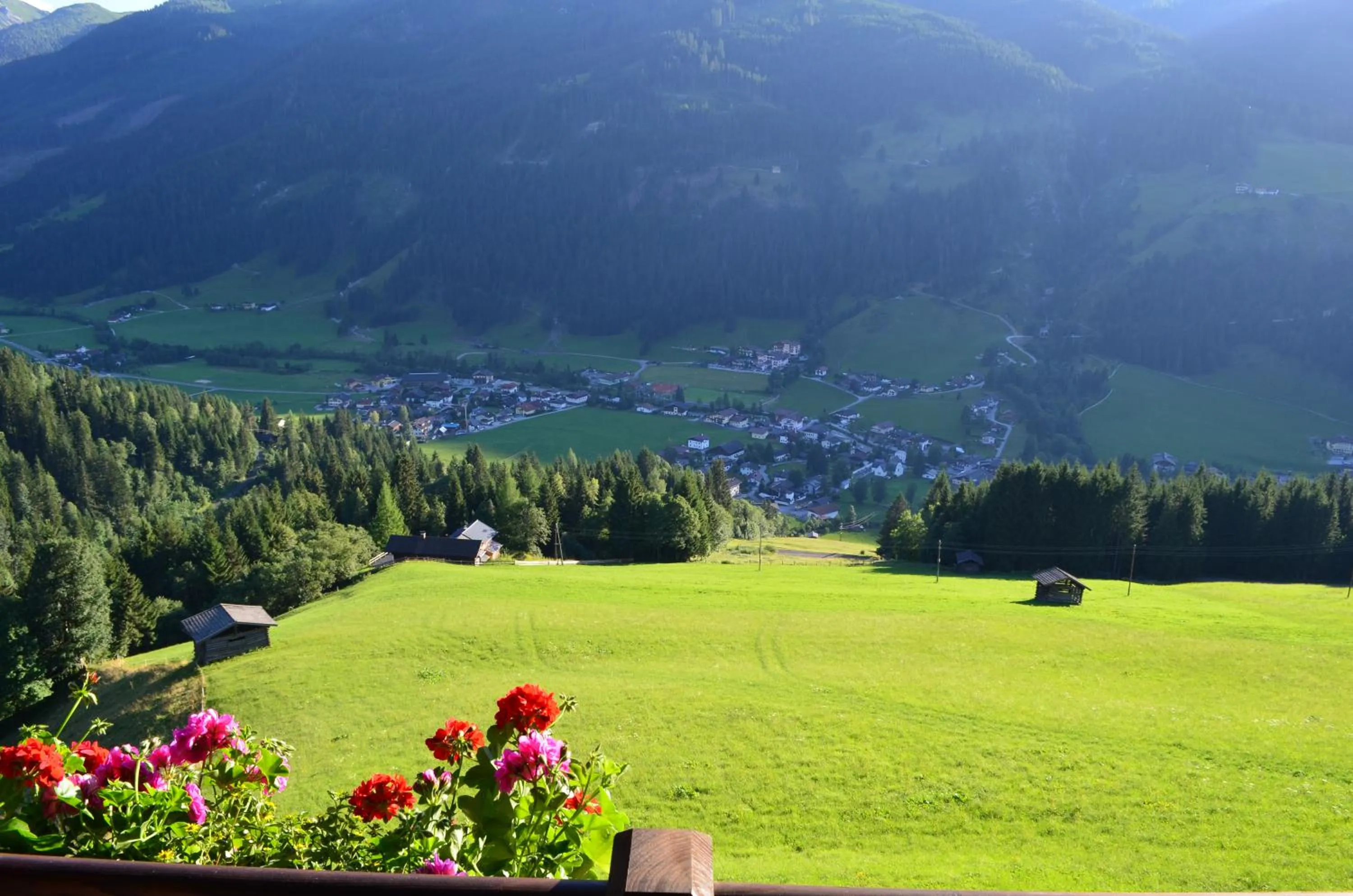 Natural landscape in Bergappartements Pröll
