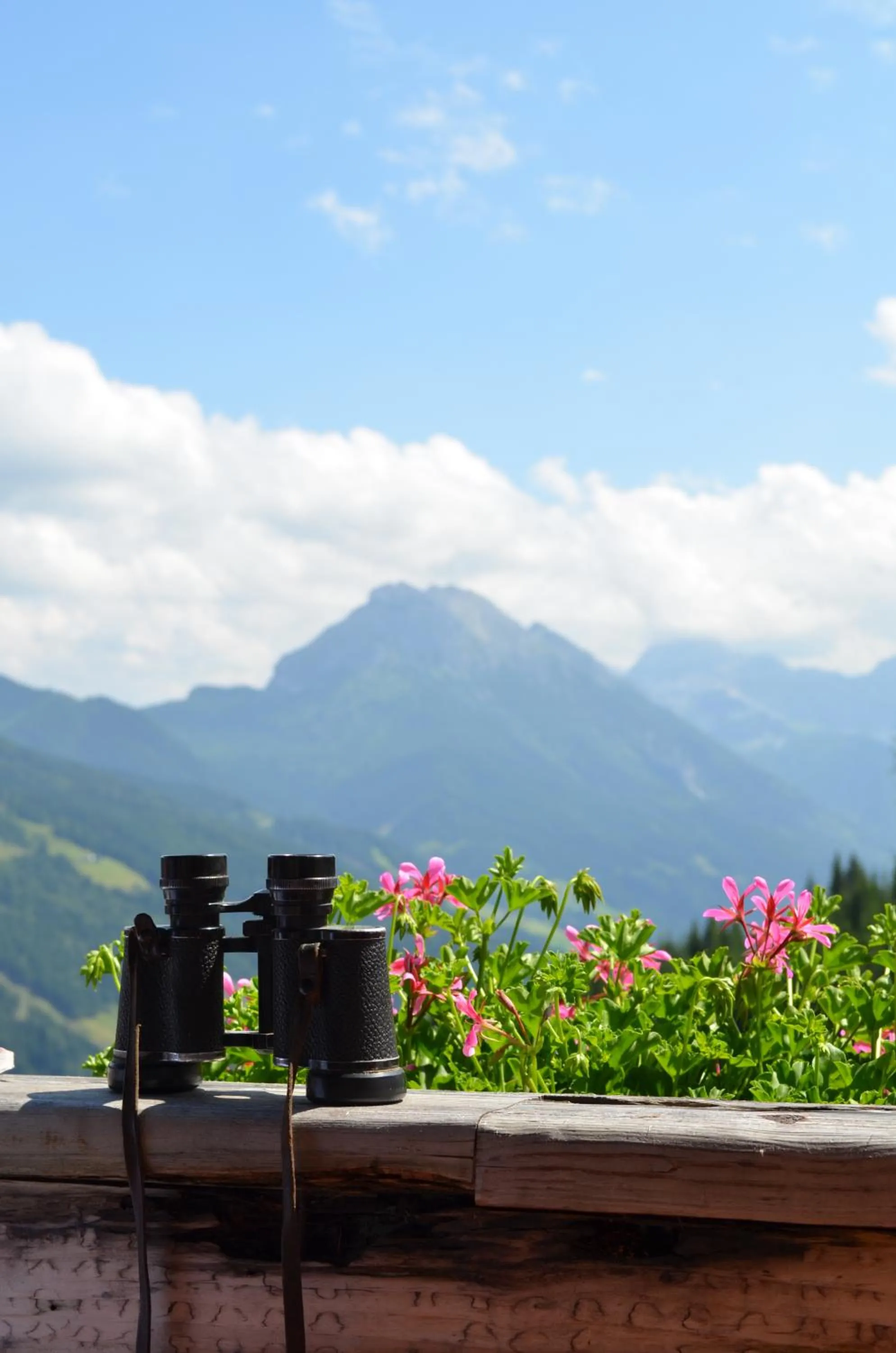 Balcony/Terrace in Bergappartements Pröll