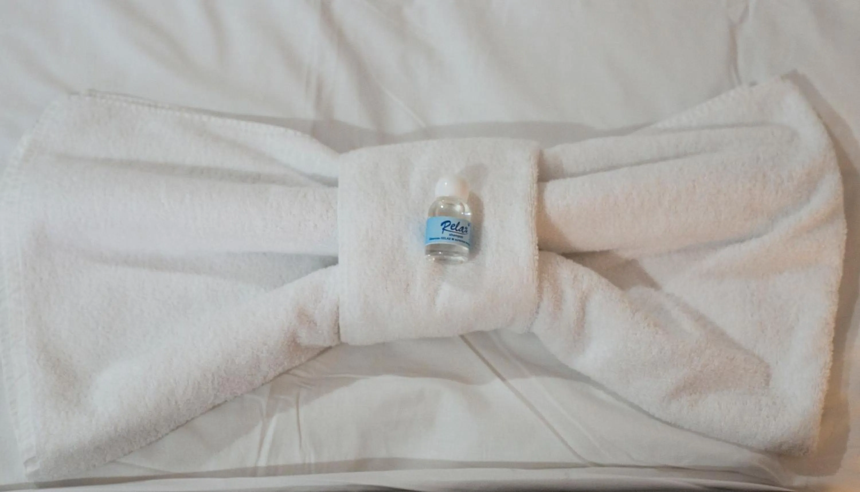 Animals, Bed in Santa Sofia