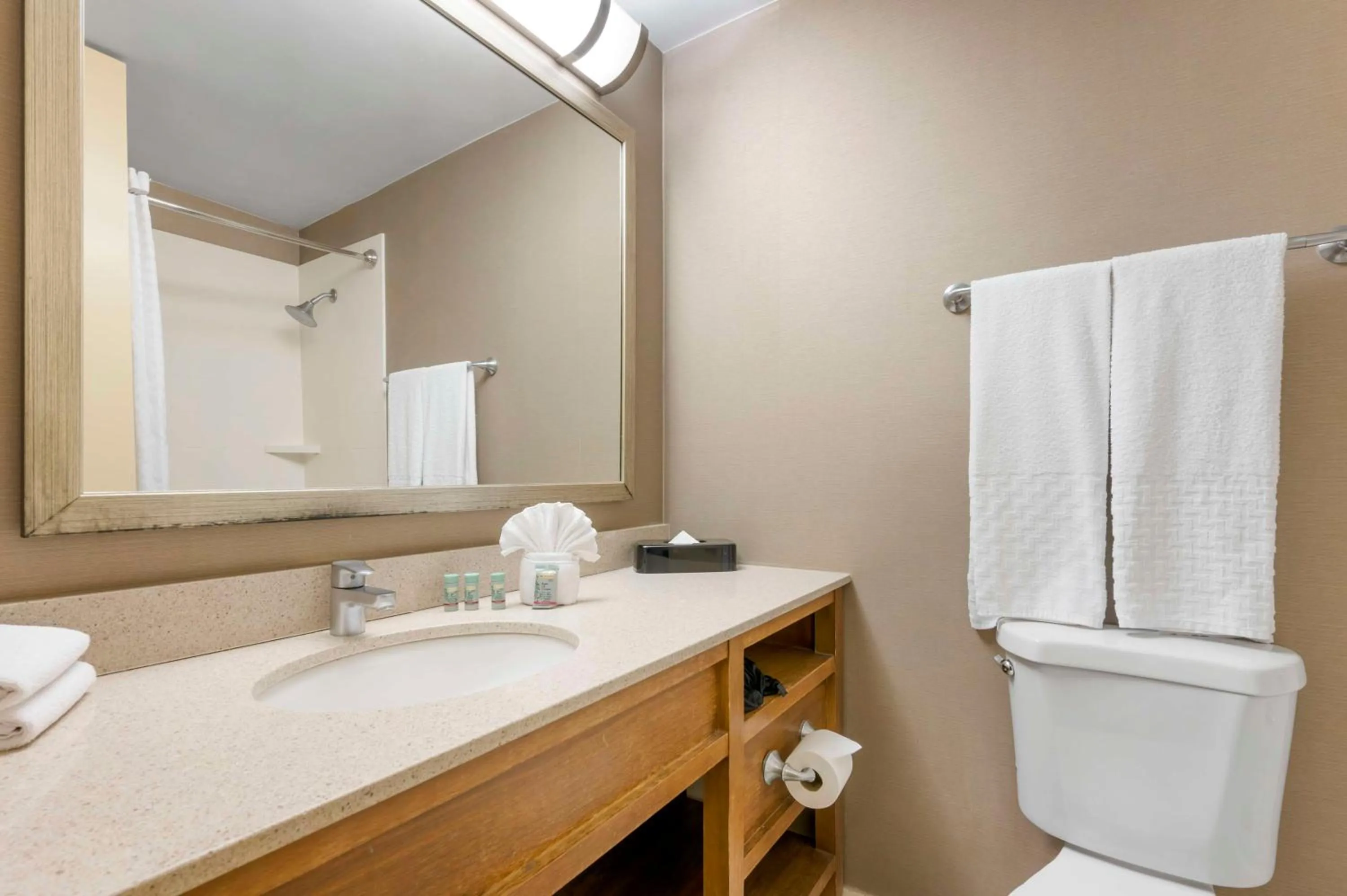 Bathroom in Best Western Grant Park Hotel