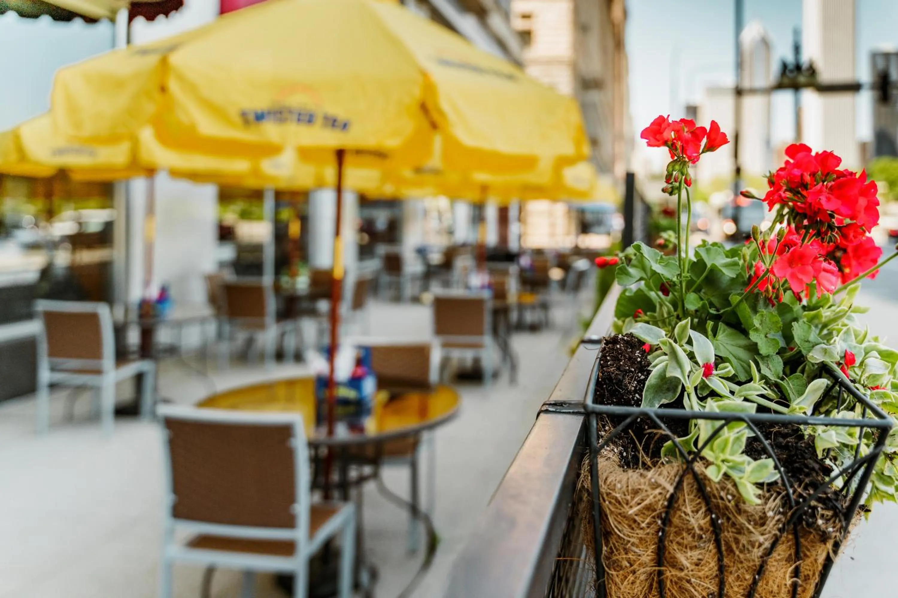 Patio in Congress Plaza Hotel Chicago