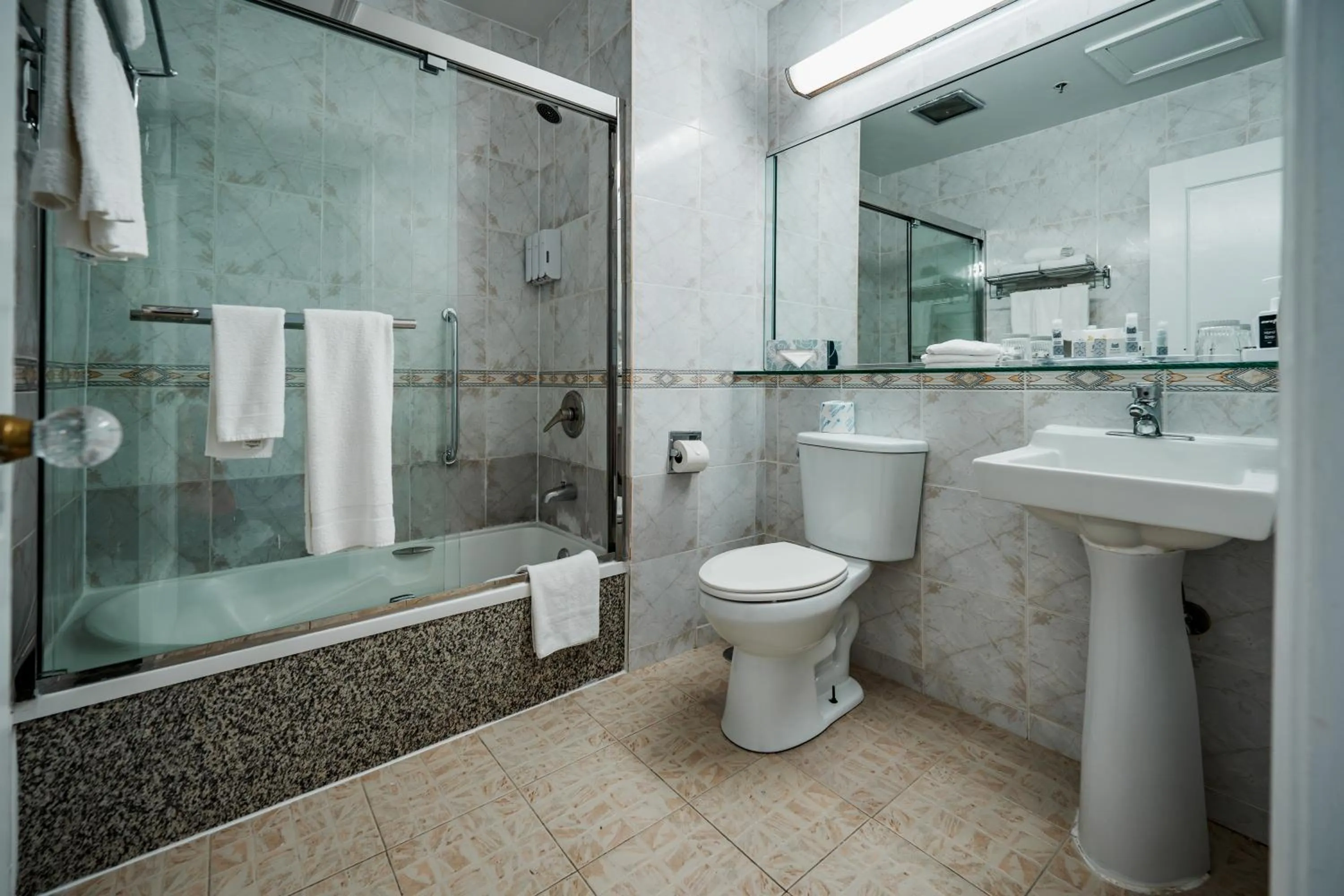 Toilet in Congress Plaza Hotel Chicago